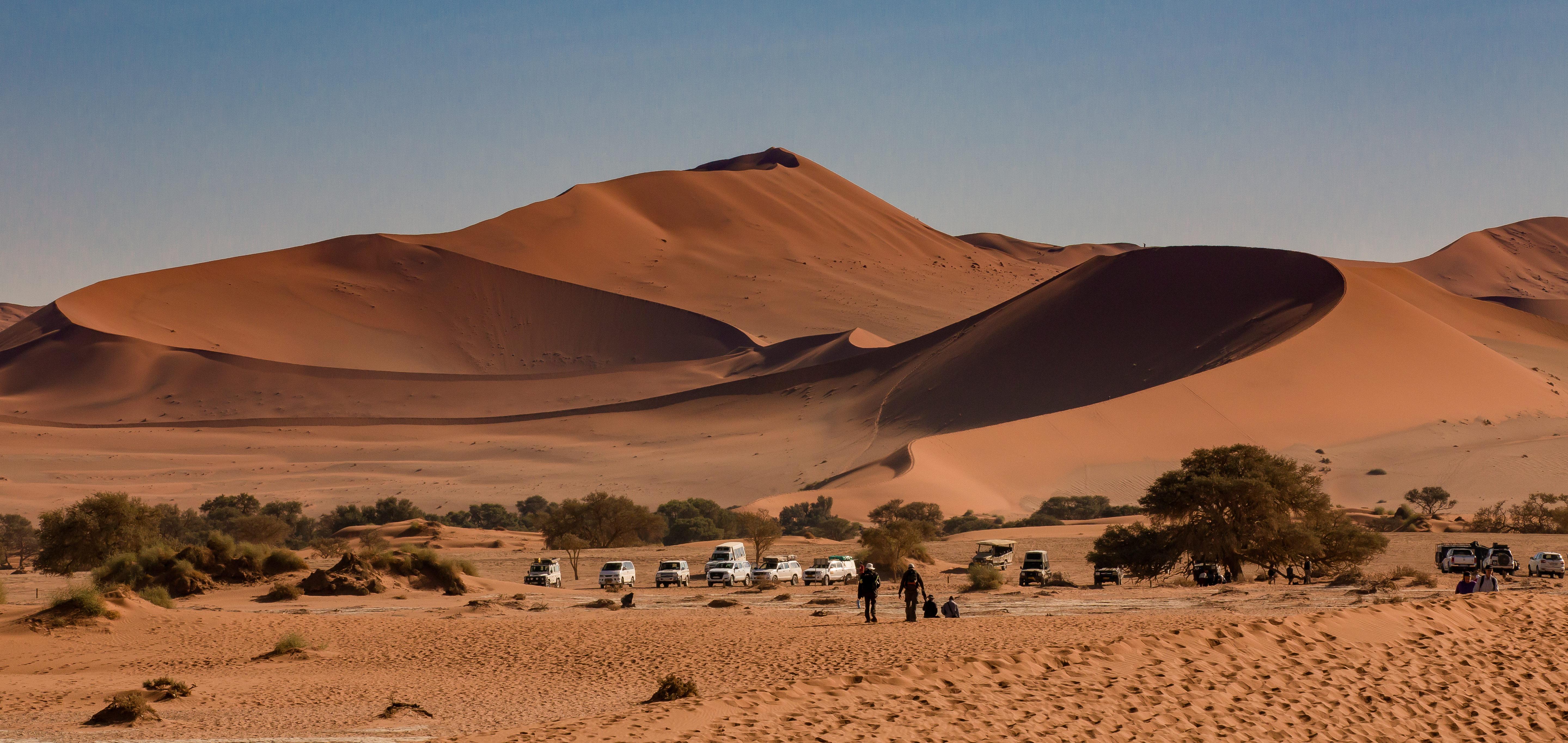 Namib desert, red dune Dune 45 and Big Mama at Sossusvlei, Namibia