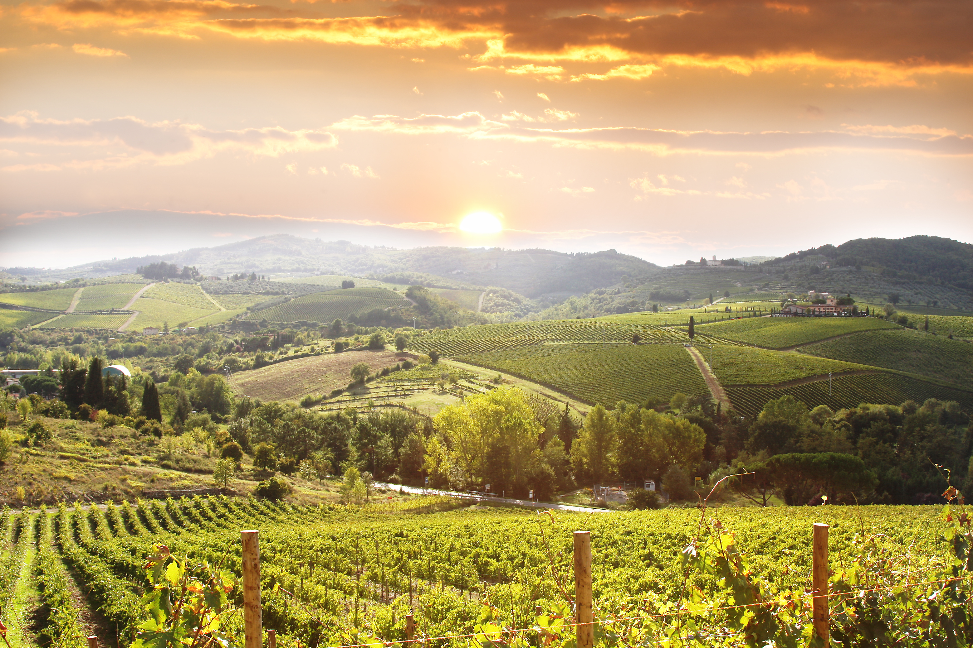chianti vineyard landscape in Tuscany, Italy, Italy Trip