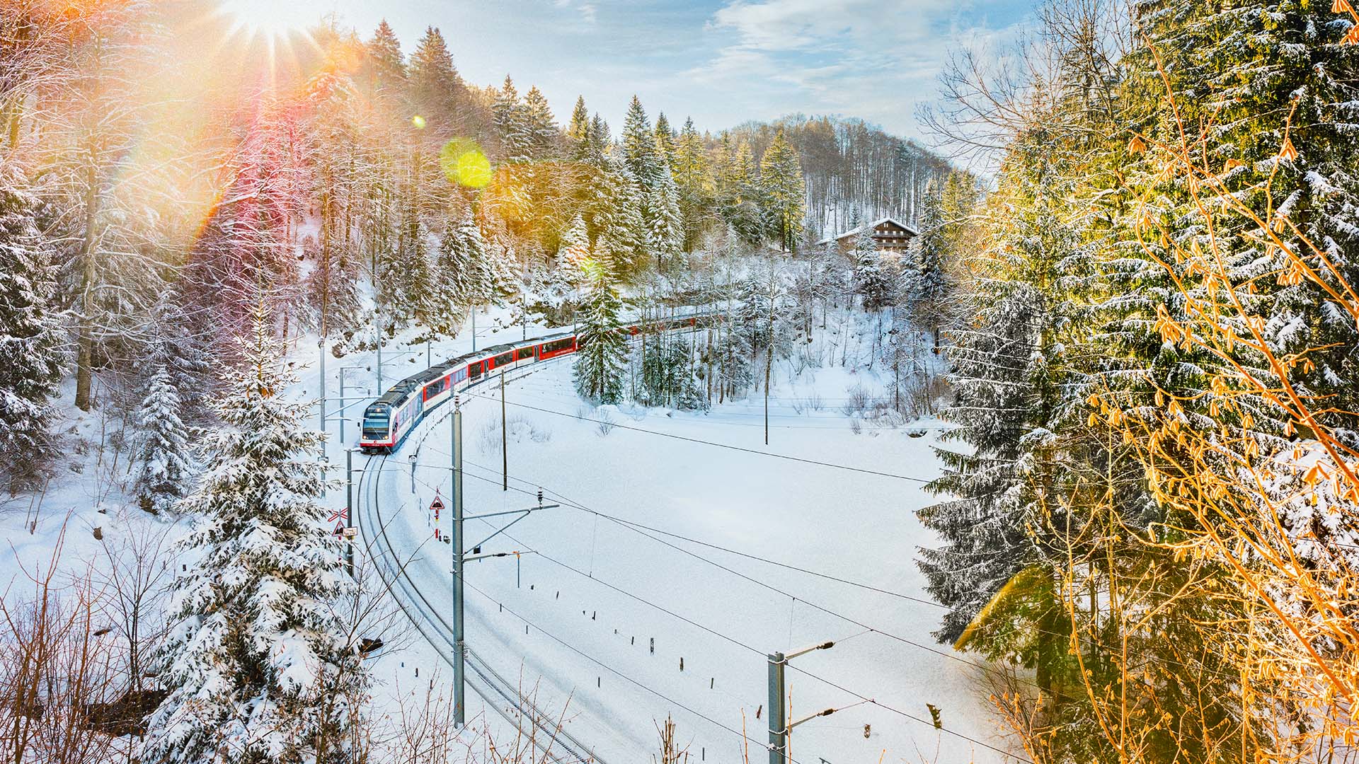 train heading through the snow in Swiss Alps