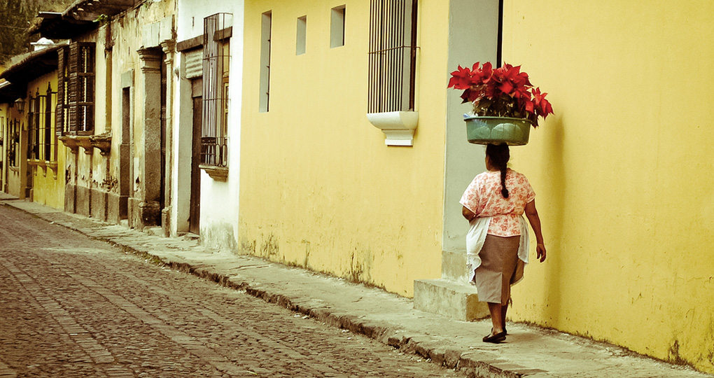 trip to antigua