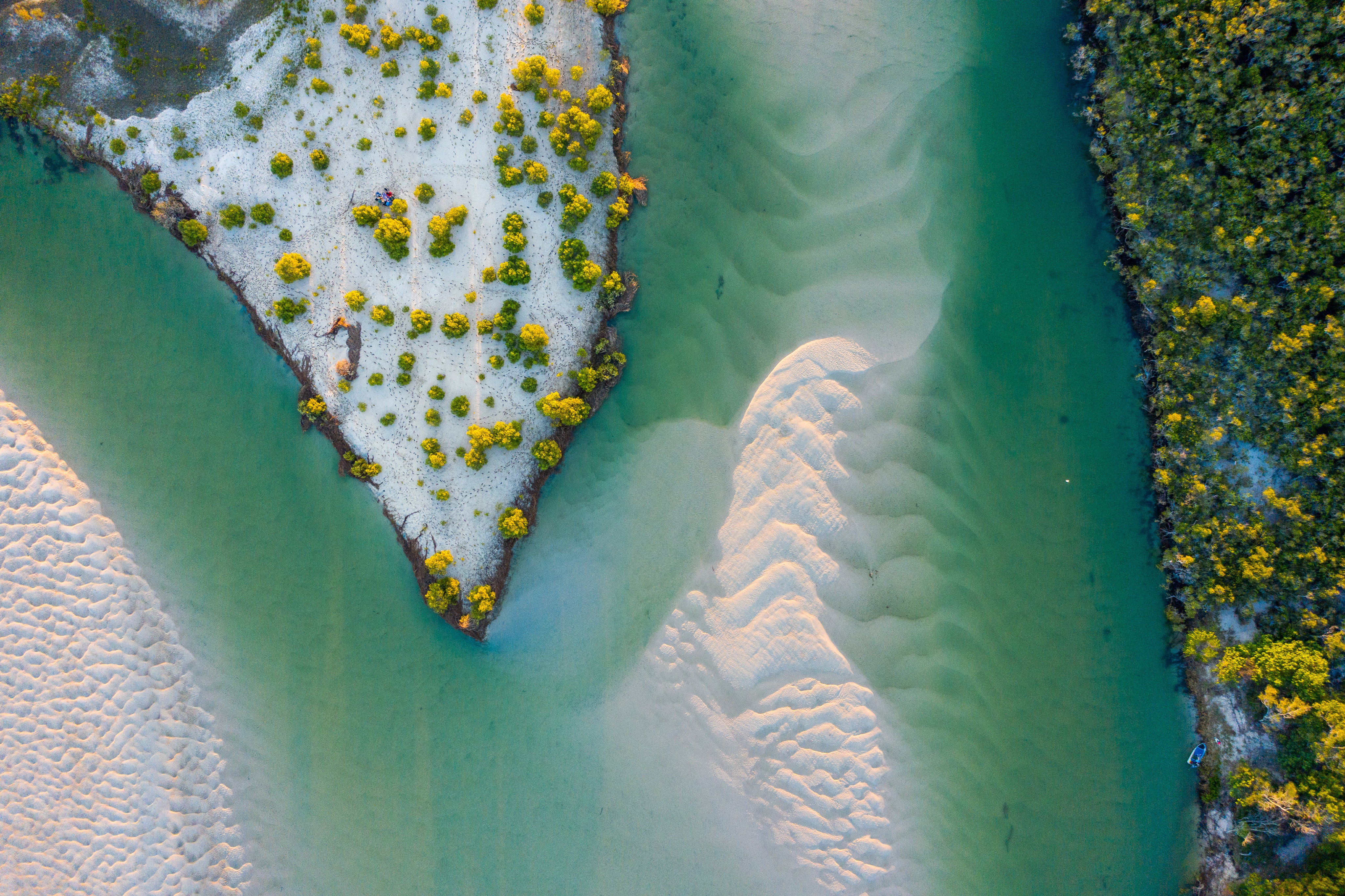 Australia & New Zealand