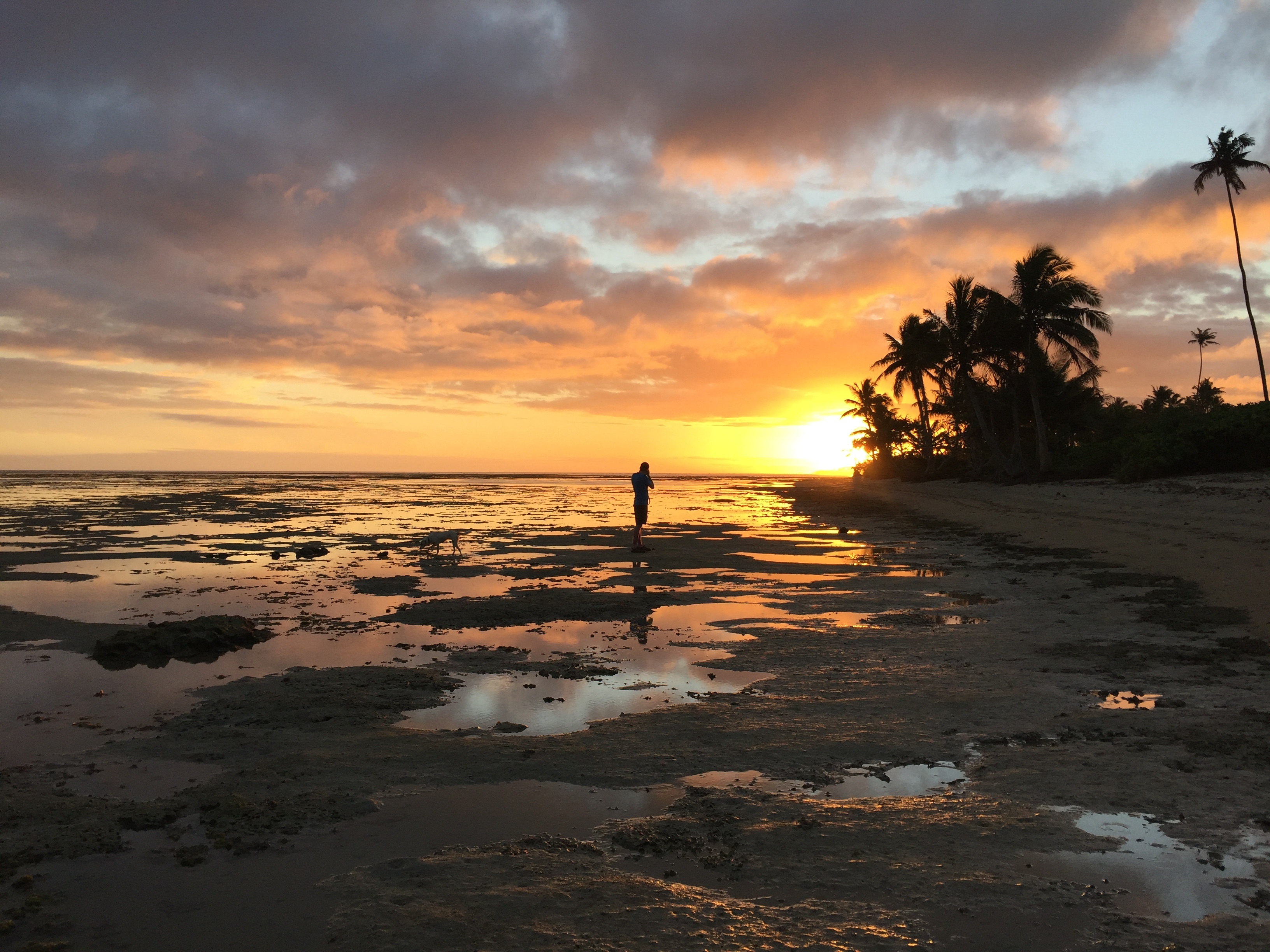 a man walks across the beaches of Vanua Levu, Fji at sunset as the sun is about to dip beneath the horizon