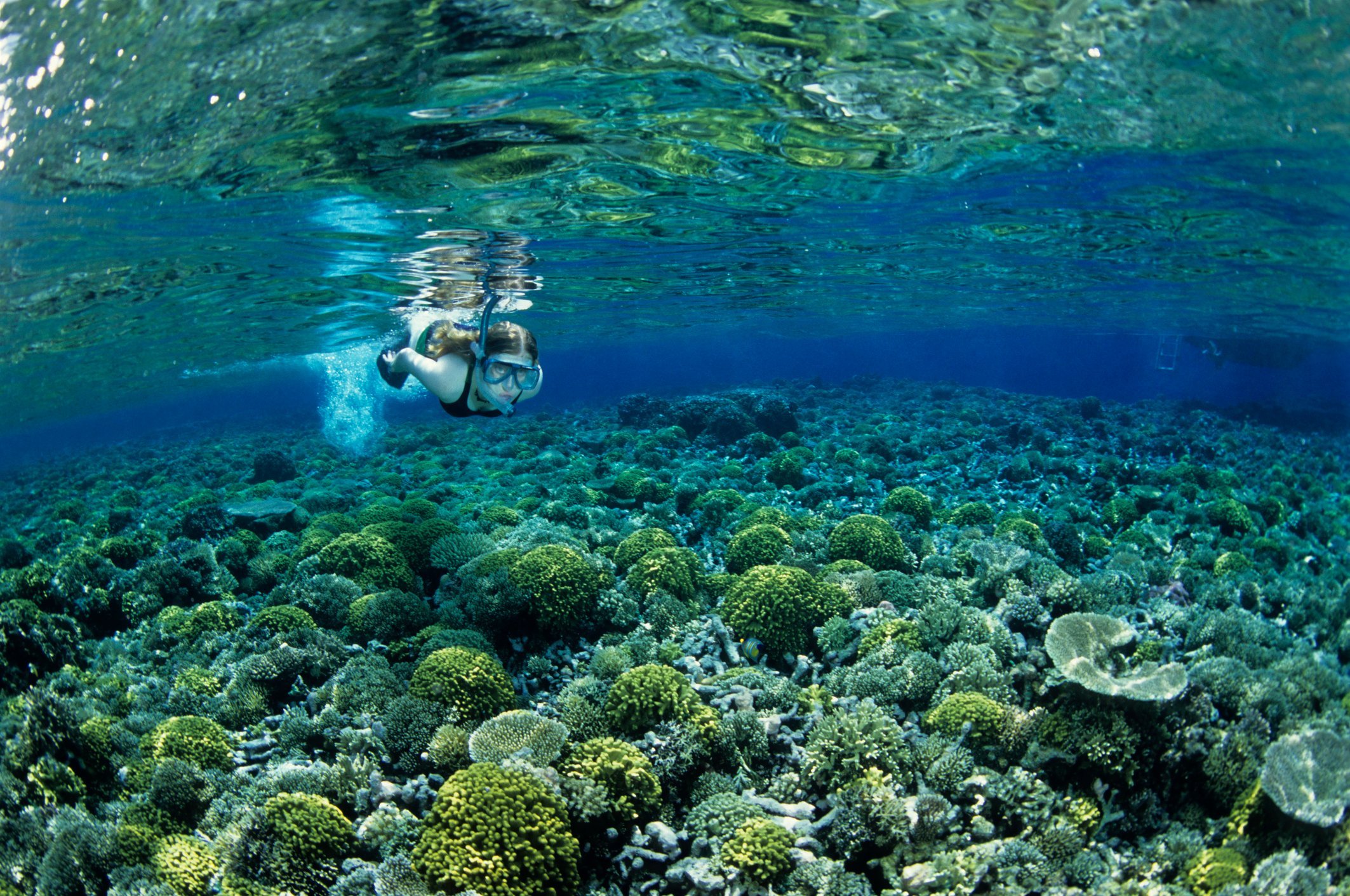 A person swims above a vibrant coral reef in clear blue water.