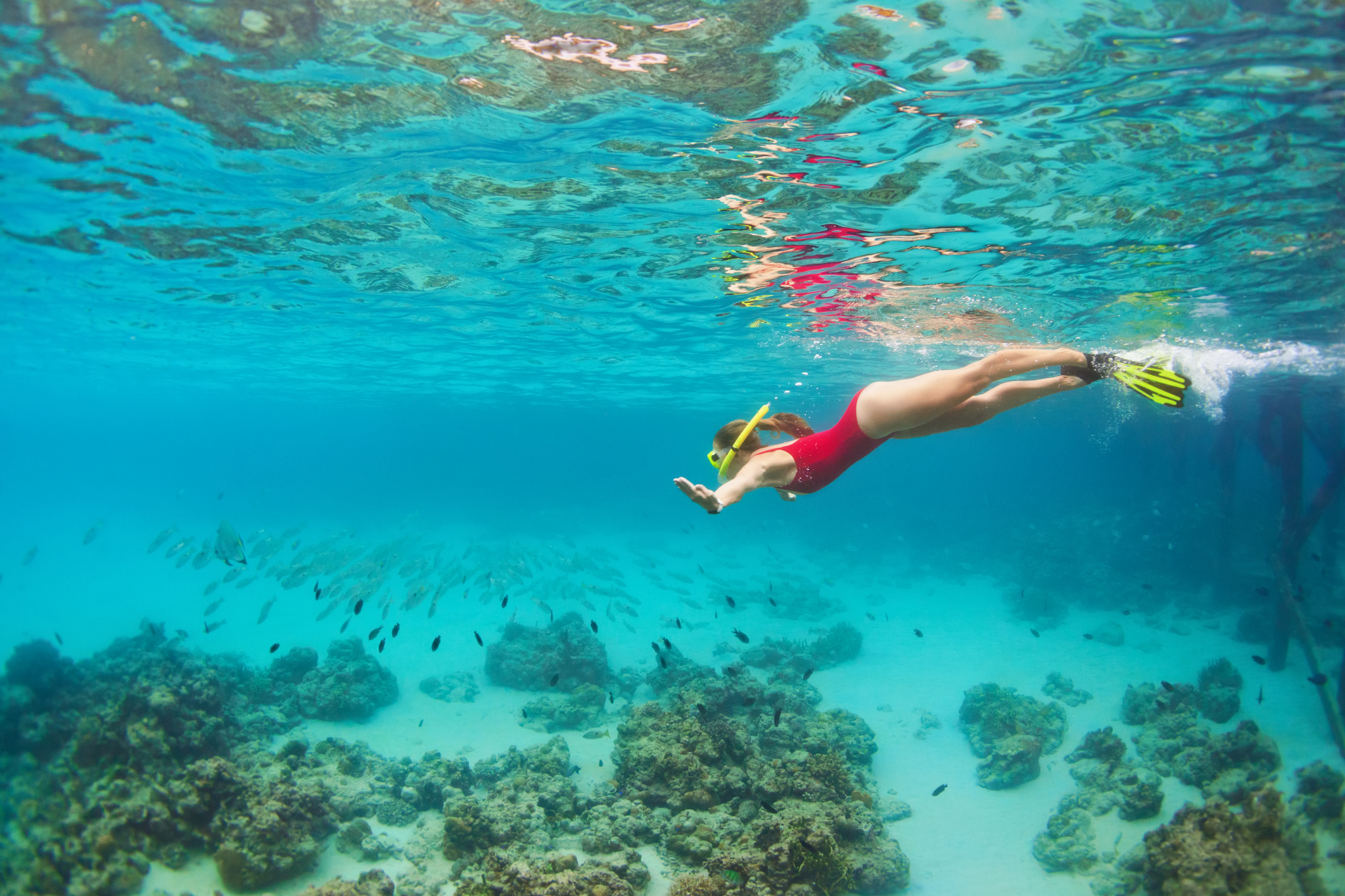 A person in a red swimsuit snorkels underwater above coral and fish in clear blue waters.