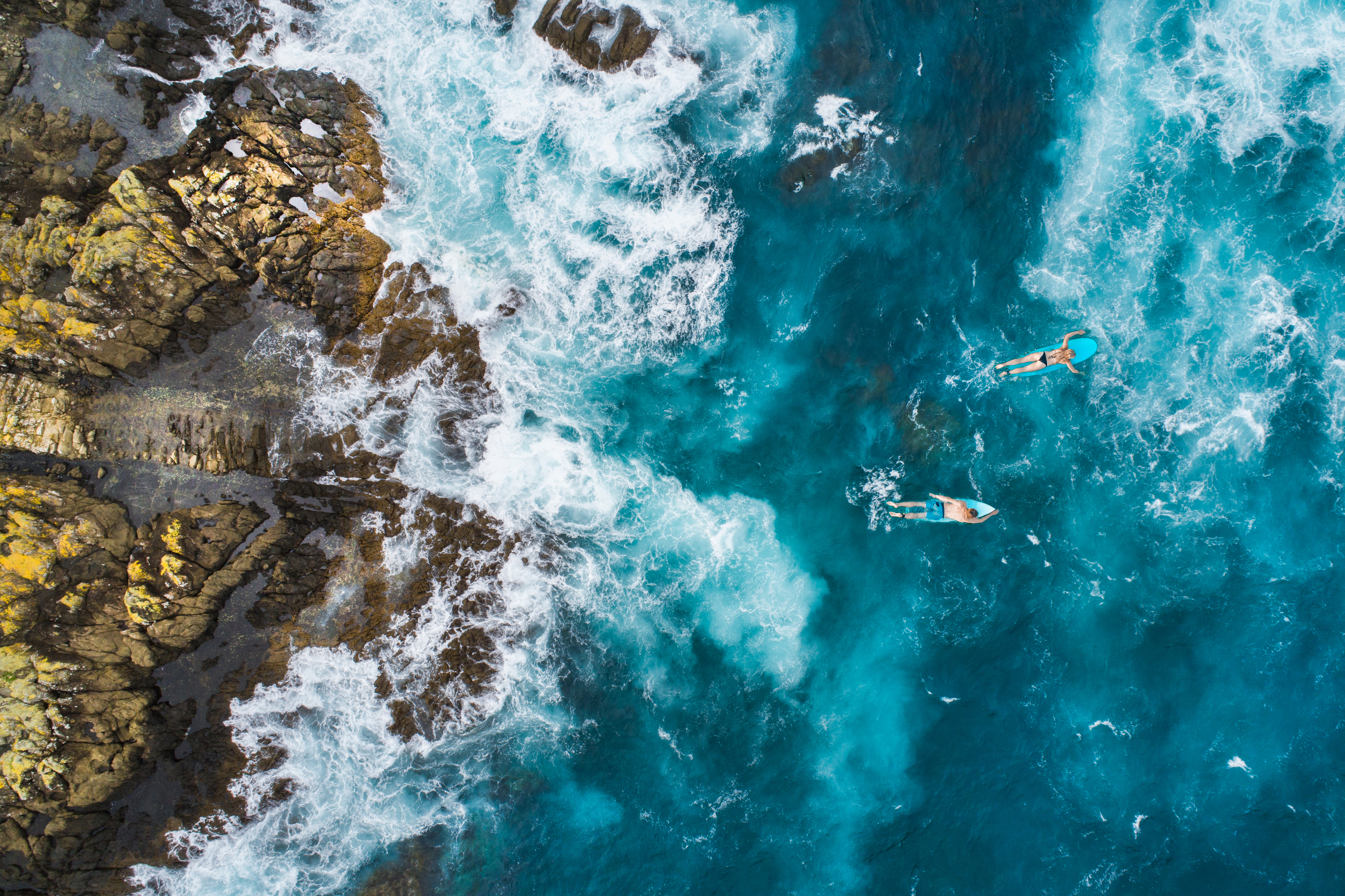 Aerial shot of surfers paddling over blue waters
