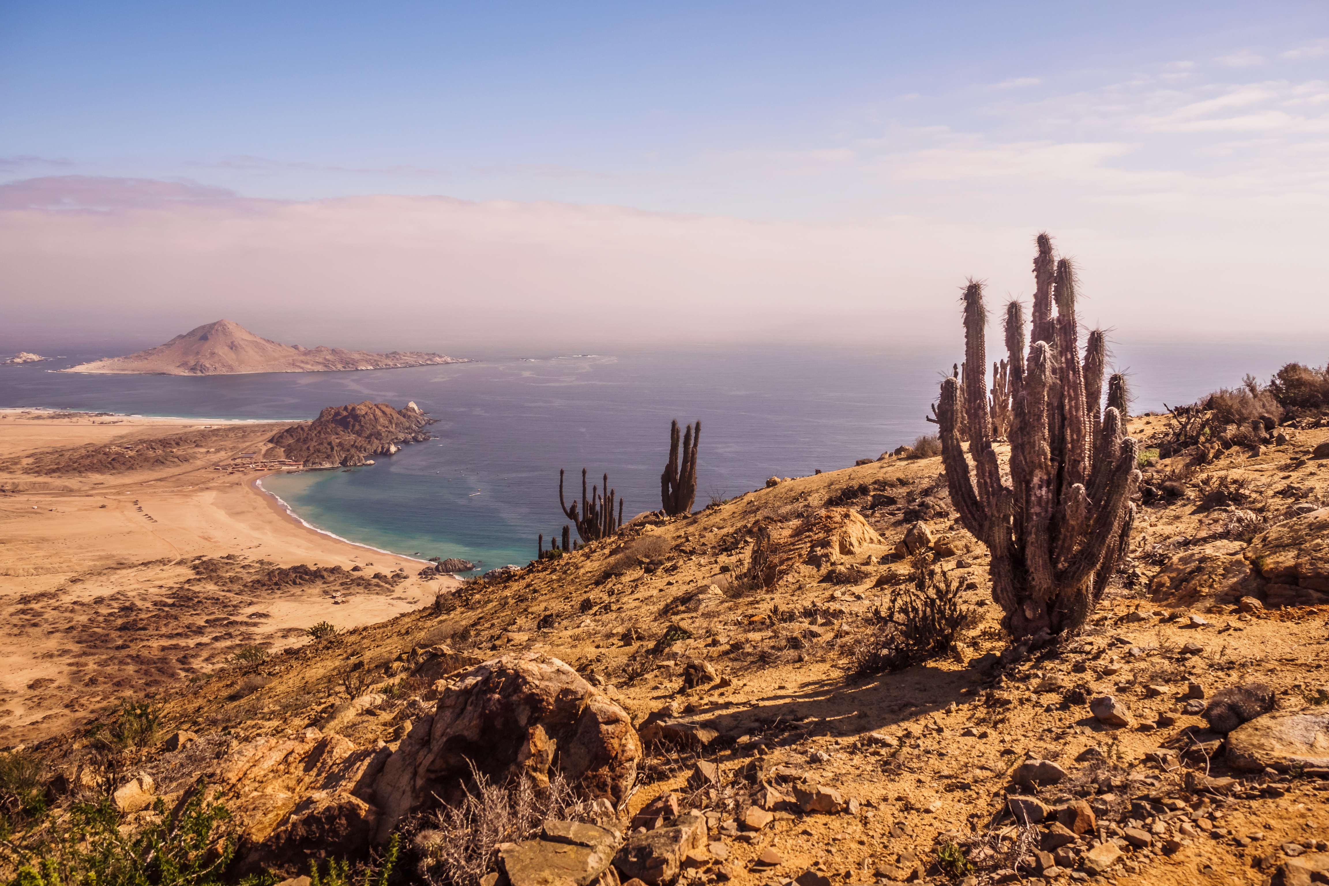 Coast of Pan de Azucar National Park in Chile. Atacama desert with ocean coast and cactus. desert landscape