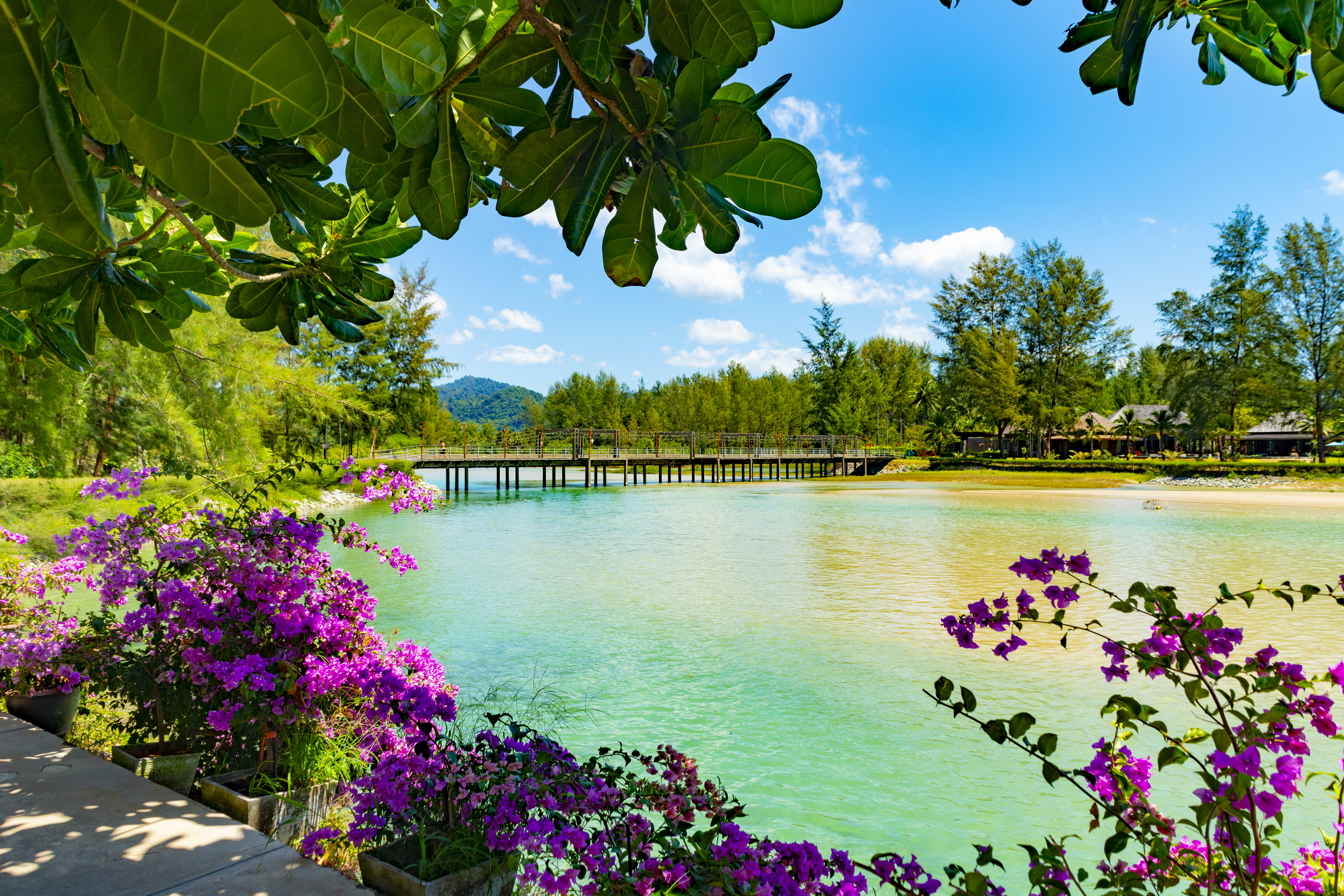 Bridge between two sides of the beach. There are flowers and palm trees in a formal garden in the foreground