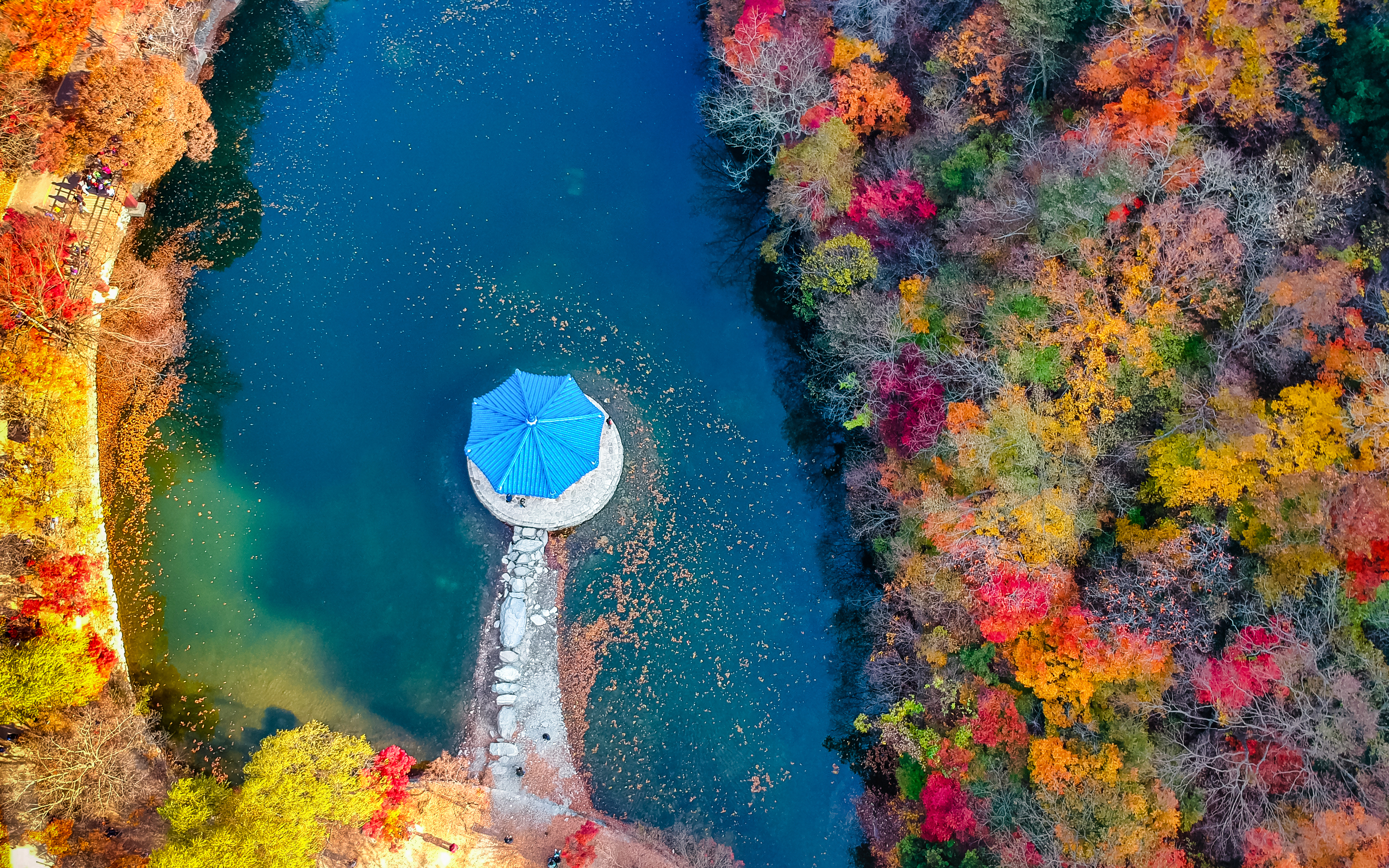 Aerial view of Autumn season trees changing color at Naejangsang, South Korea