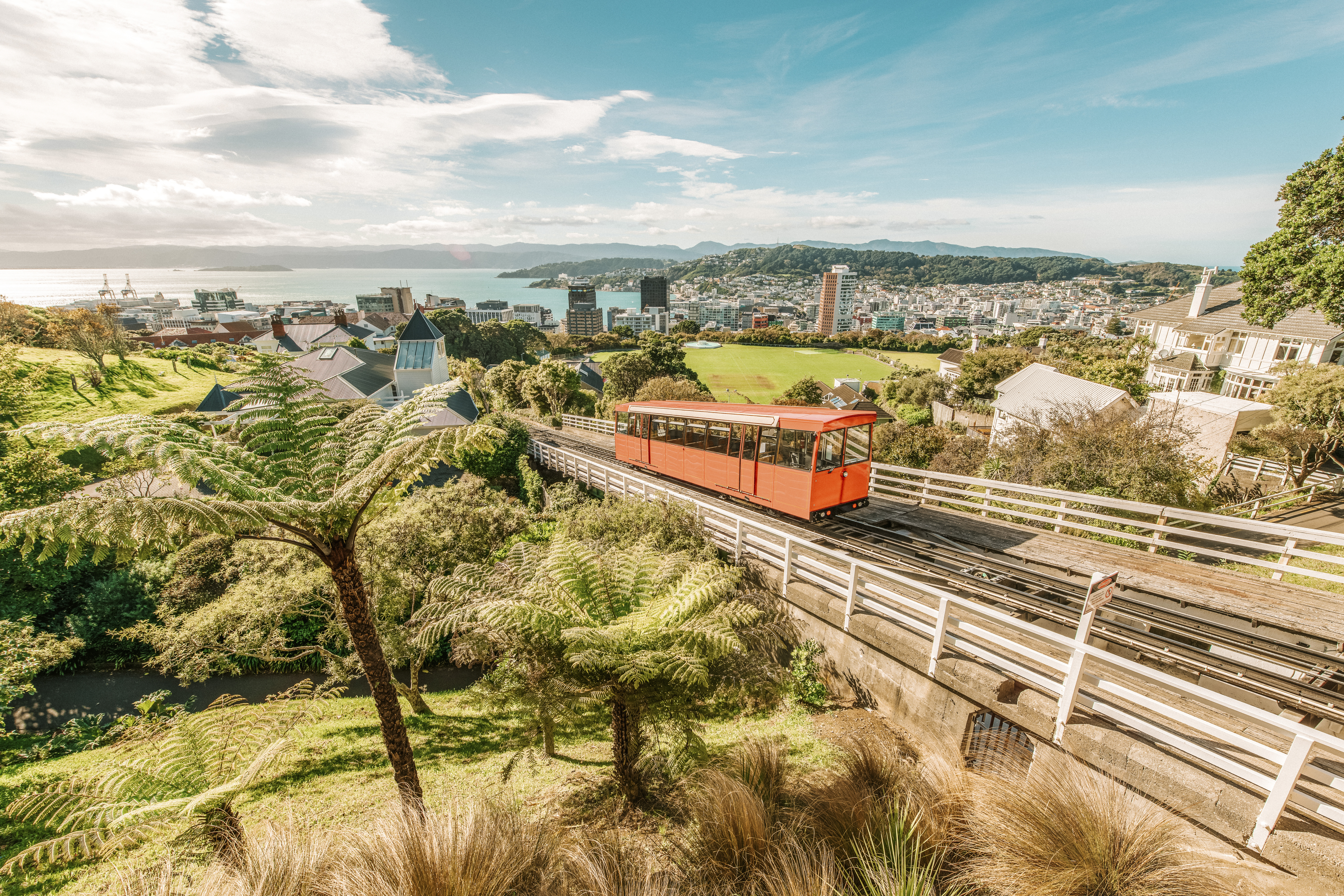 Aerial view over the city of Wellington, New Zealand, with a cable car climbing up the hill in the middle.