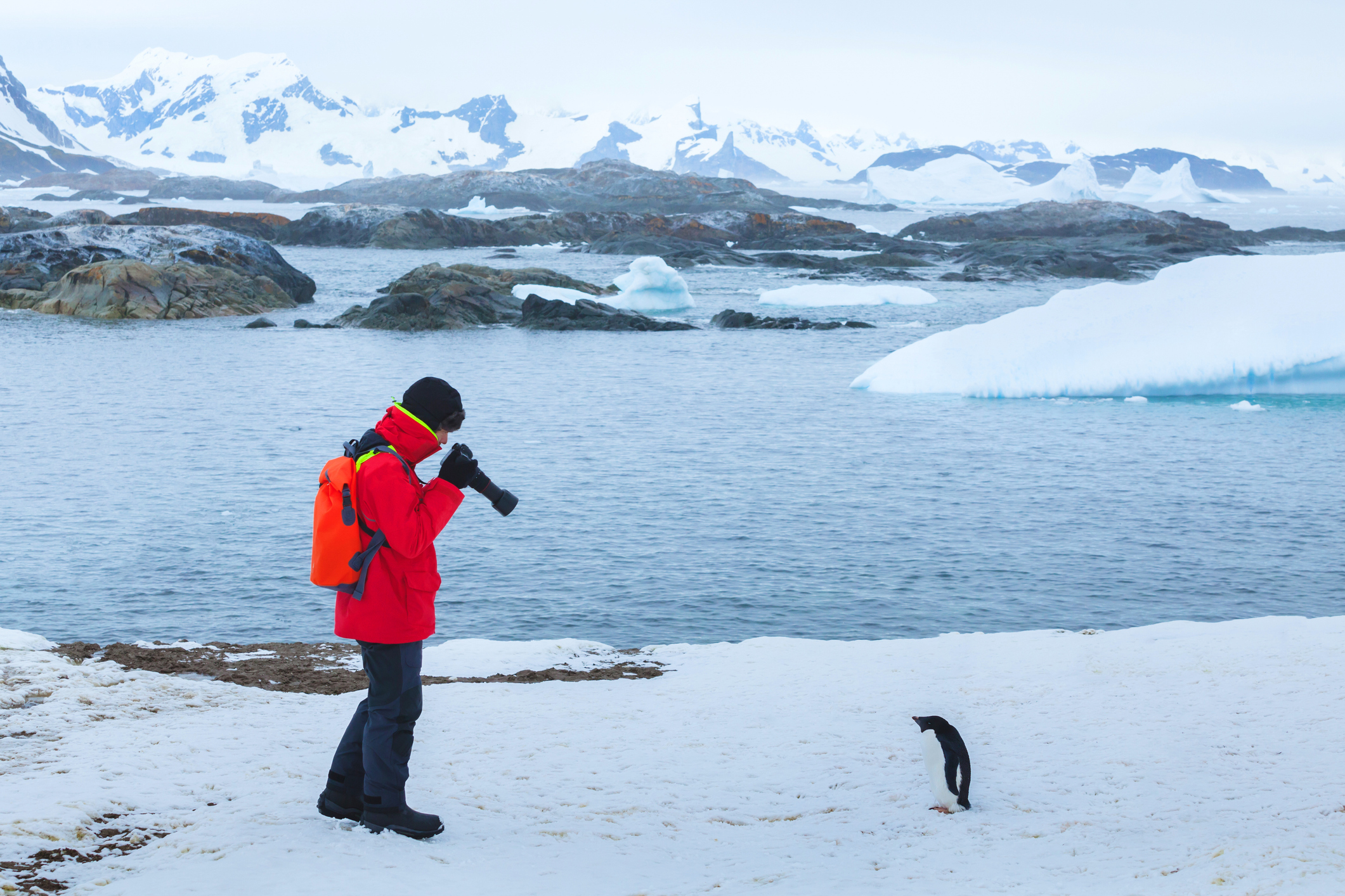 A person in a red jacket photographs a penguin near icy waters and snowy mountains in a polar landscape.