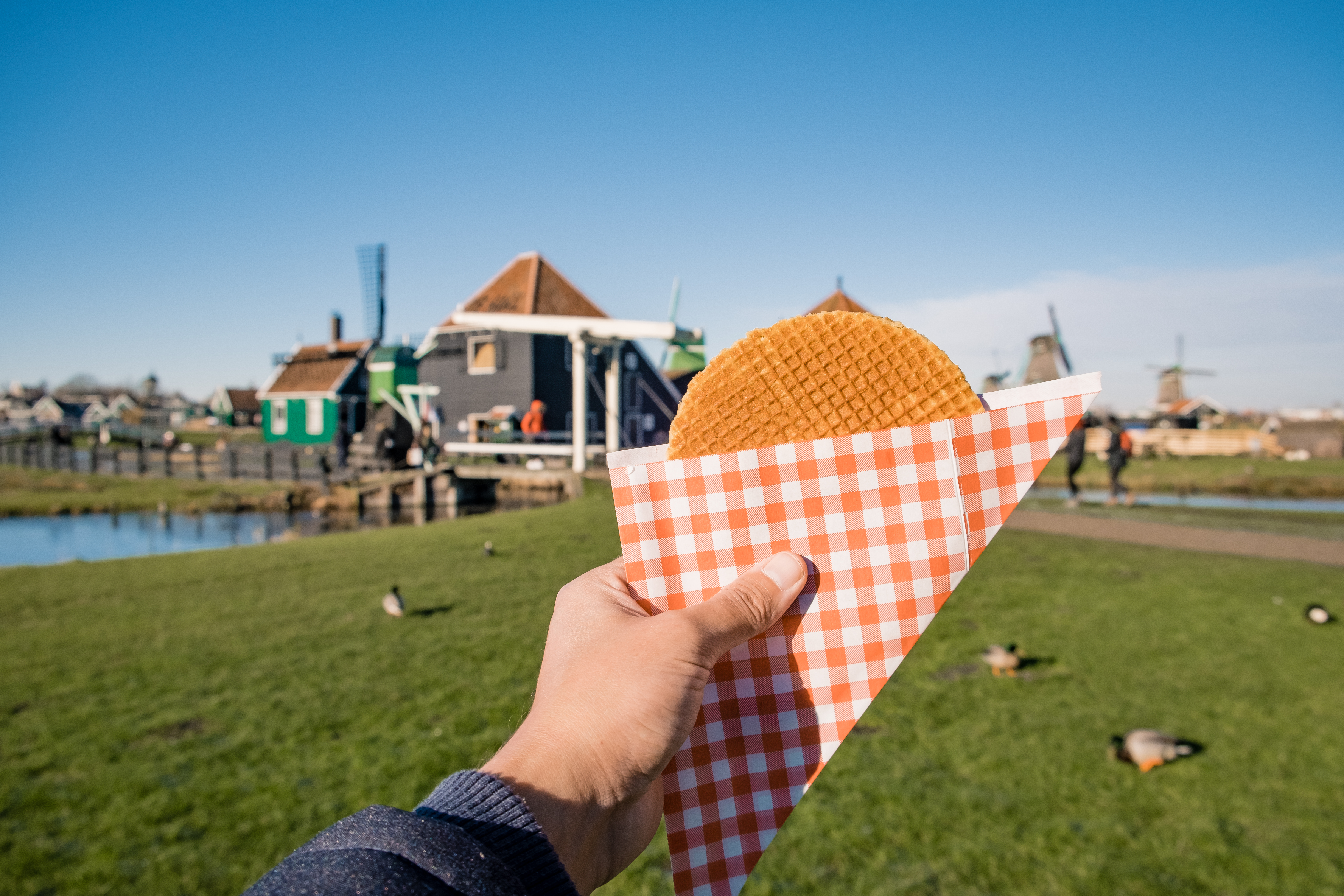 A hand holds a waffle cone with a round pastry, set against a scenic view of a green park and colorful buildings.
