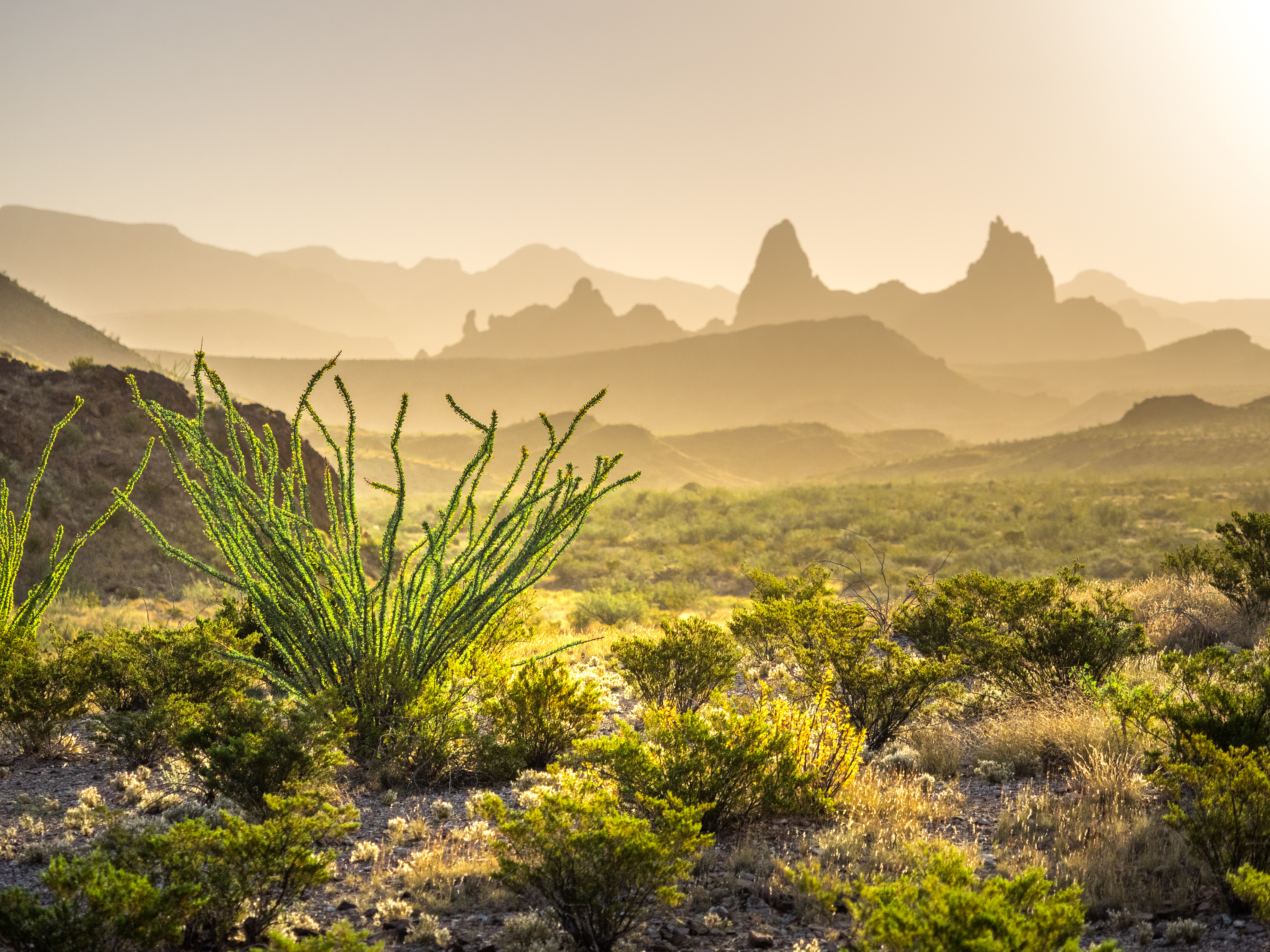 Sunrise above the Mule Ears stone formation in Big Bend National Park, Texas
