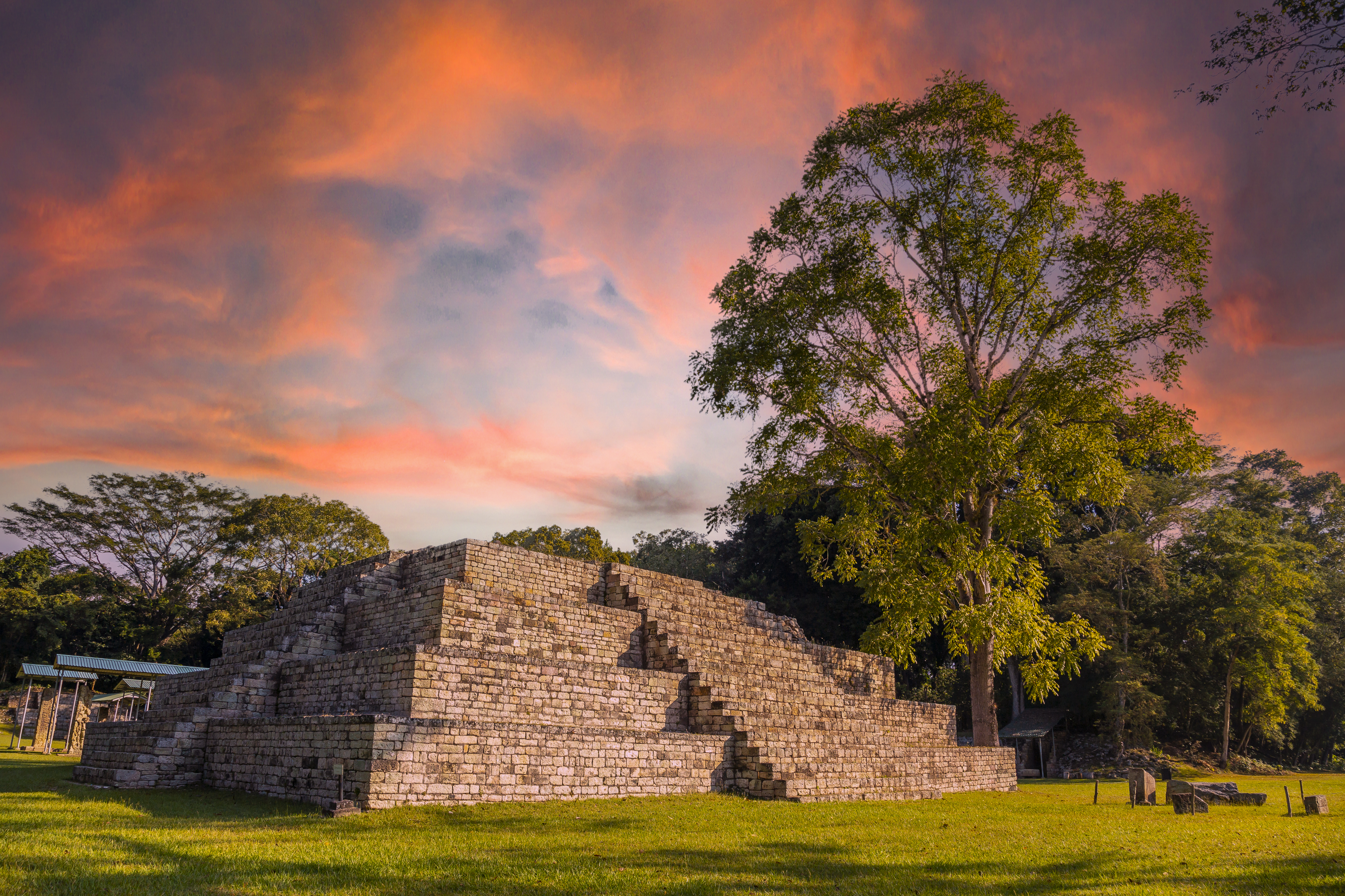 Mayan pyramid next to a tree at the Copán Ruinas temples in a beautiful orange sunrise