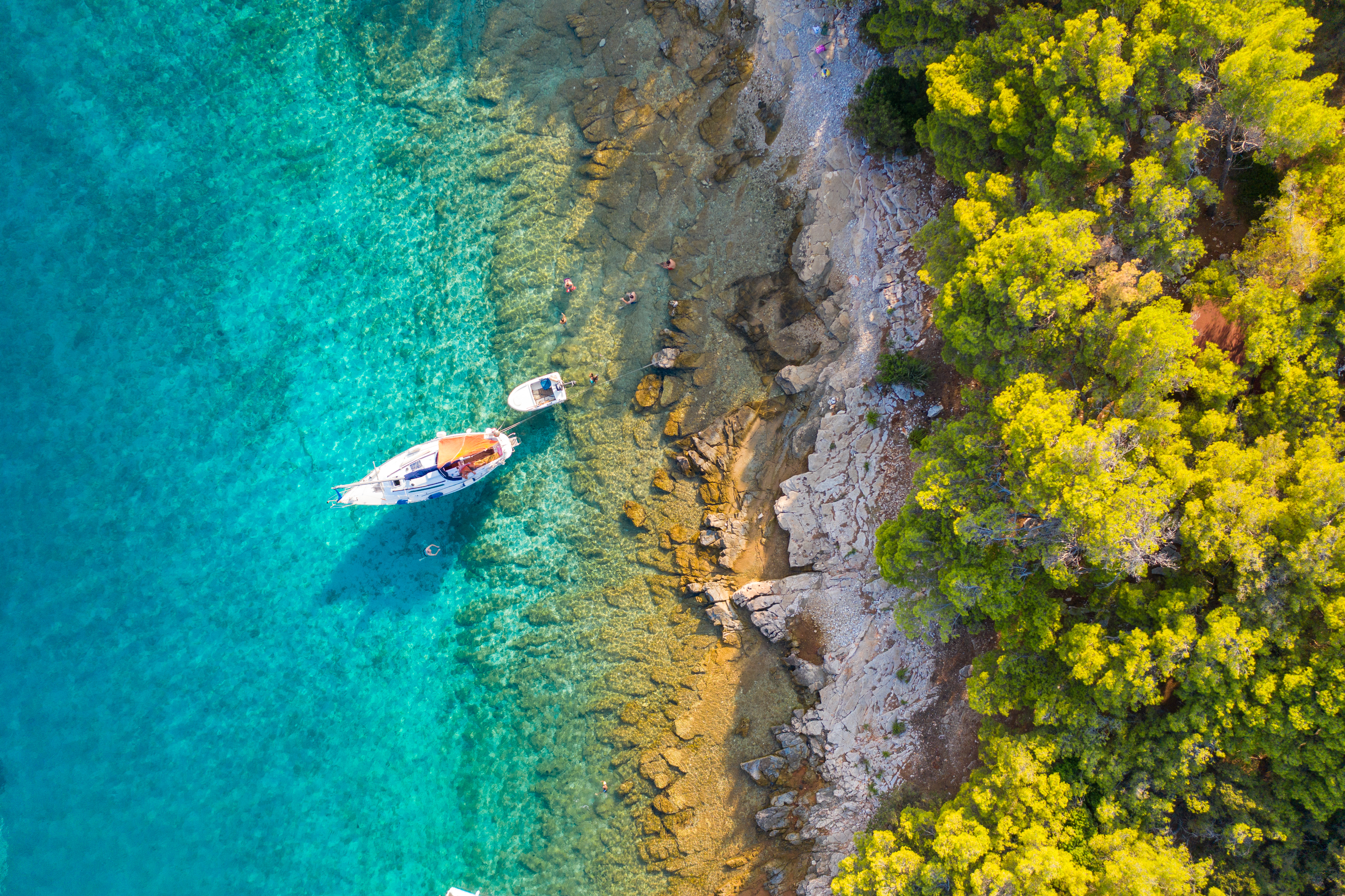 A small sailing boat is moored next to the shore which is covered with a lush pine forest in Hvar