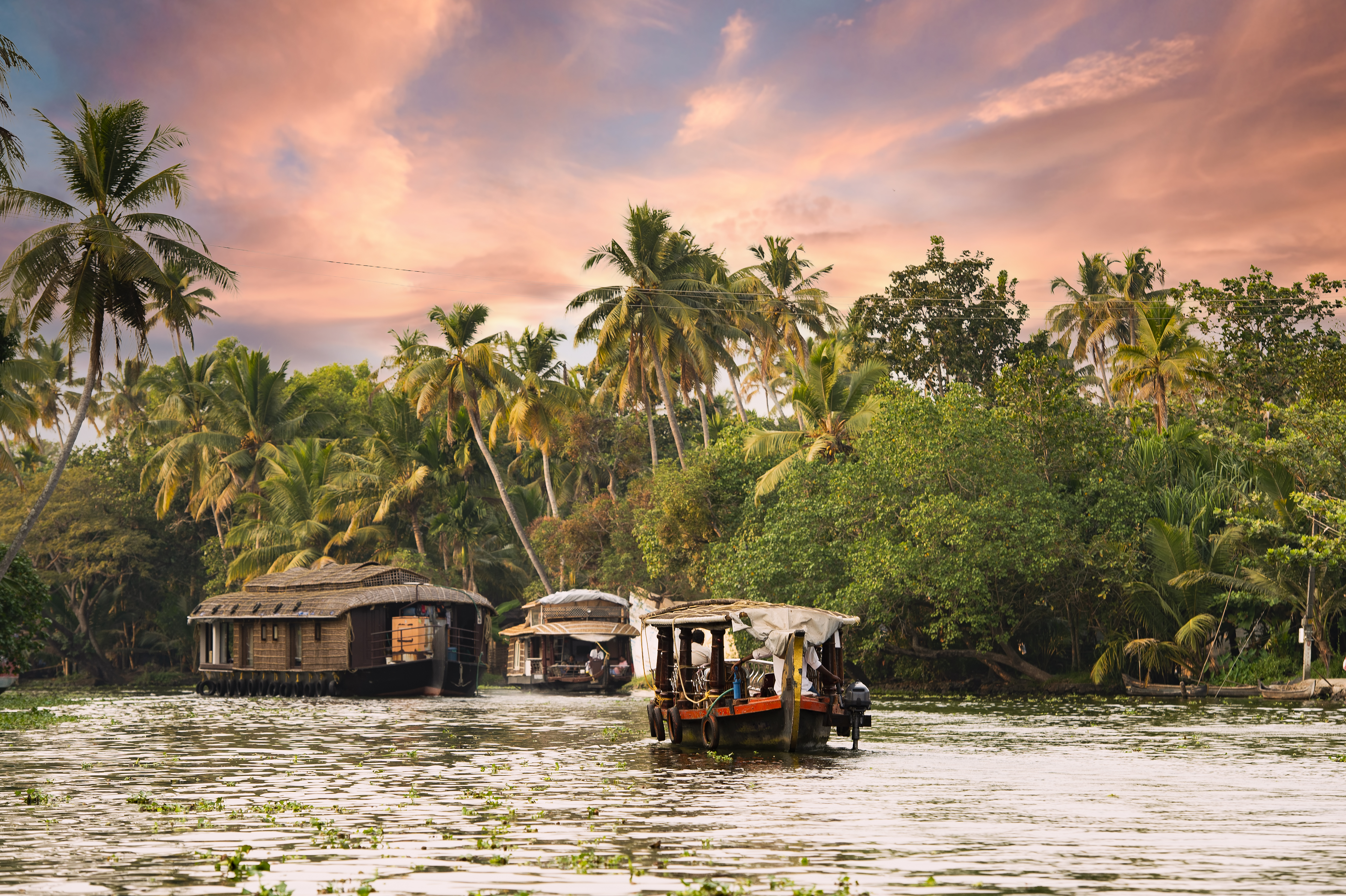 Stunning view of a house boat sailing on the Alleppey's backwaters during a beautiful sunset