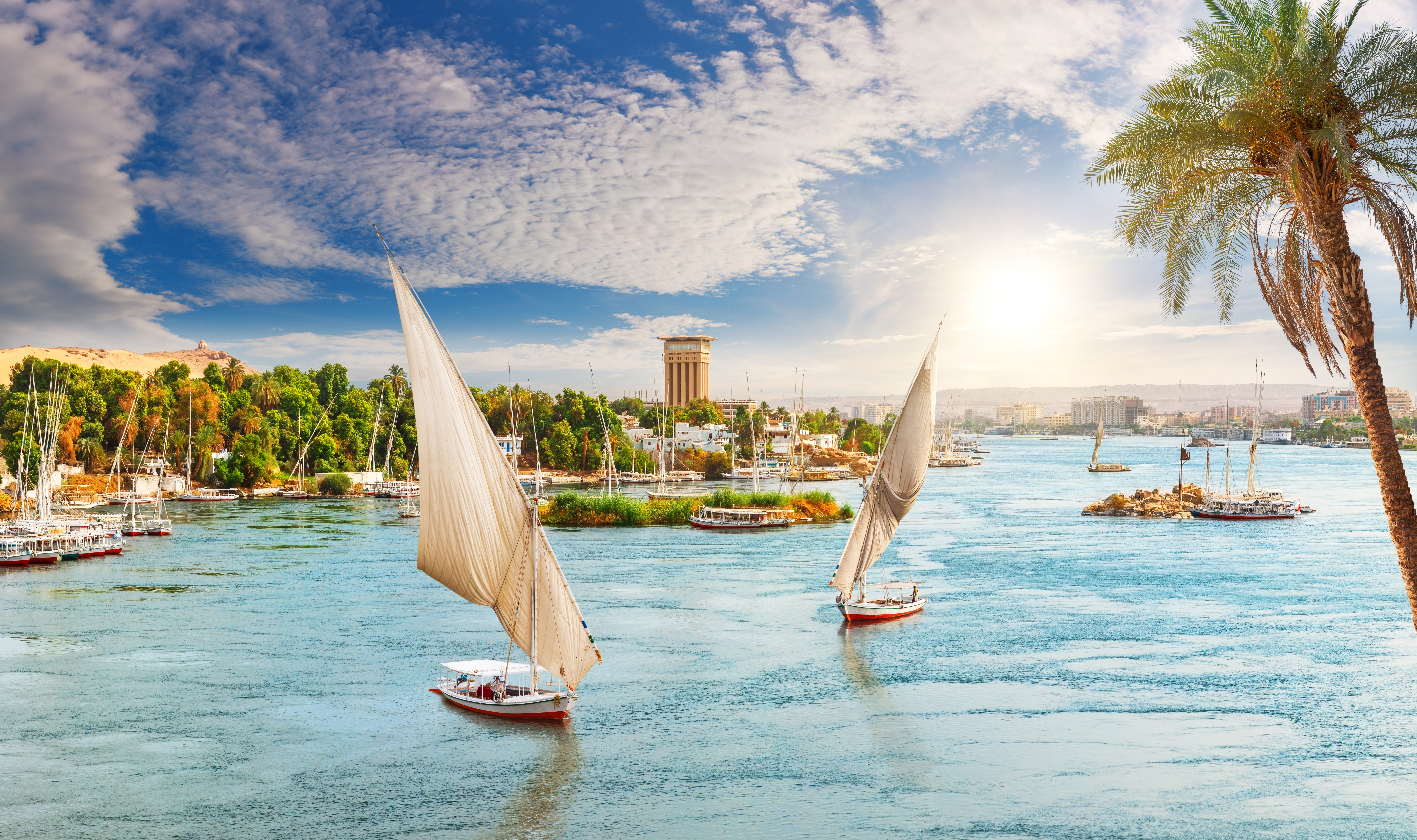 View of the Nile, feluccas and the palms, Aswan City, Egypt.