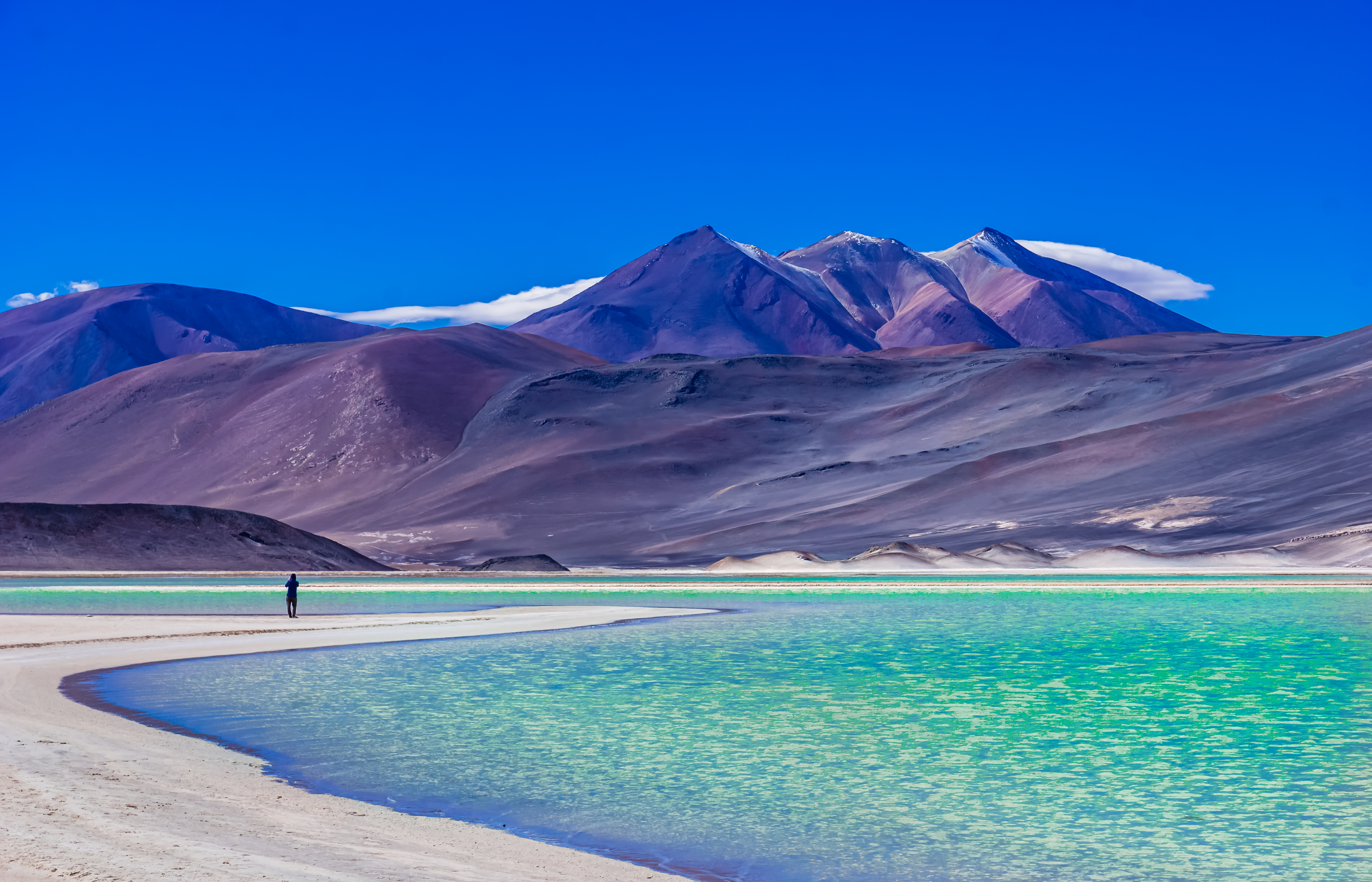 View of clear water of Laguna Salar de Talar with the Andes Mountain, San Pedro de Atacama, Antofagasta Region