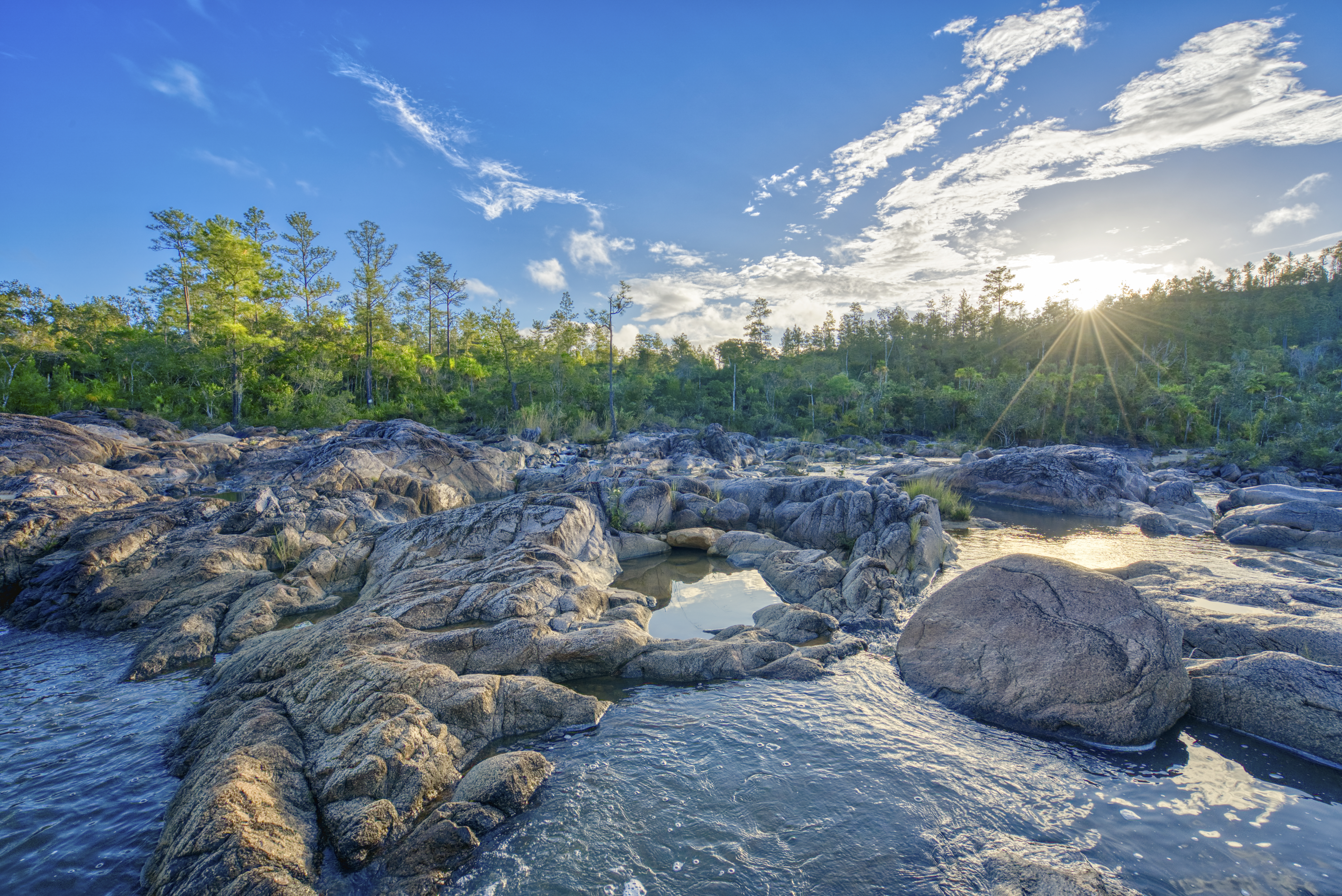 Beautiful river on pools of cascading water with pine trees in the background