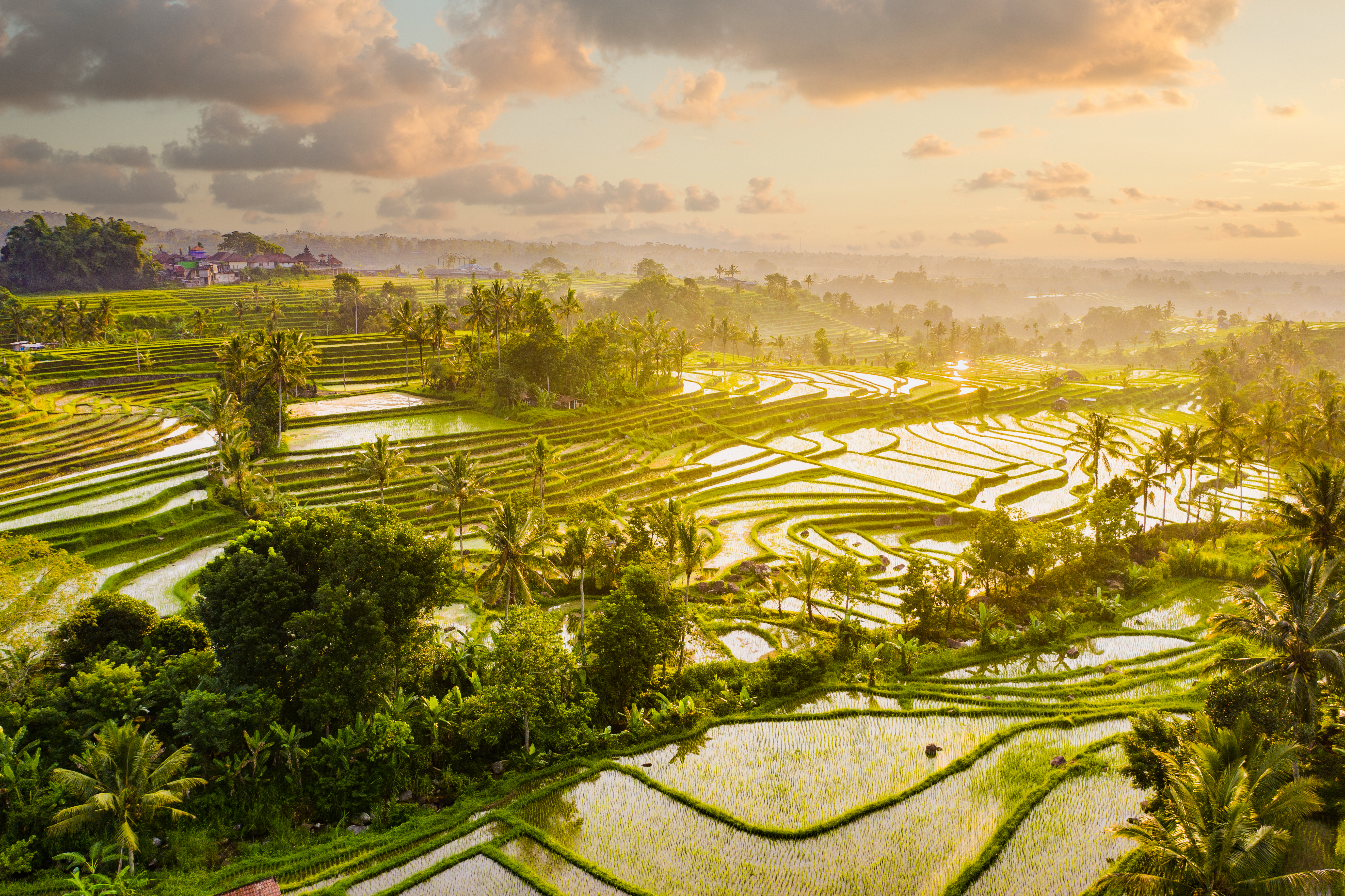 Sunrise aerial view of early morning on Jatiluwih Rice Terraces