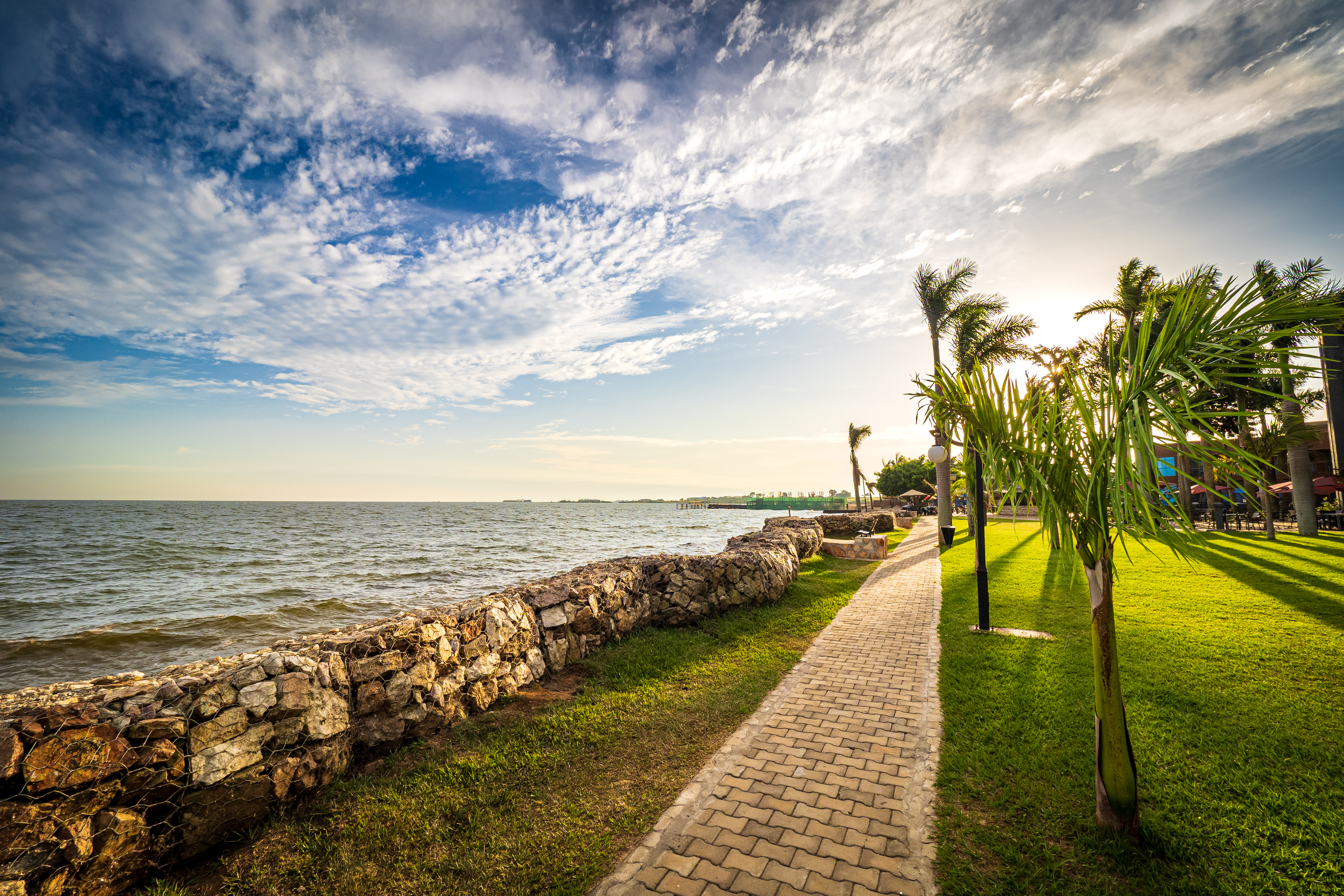Sun setting behind tropical palm trees, drawing warm shadows on the meadow next to the shoreline of Lake Victoria. A pedestrian walkway leading the way along the shore
