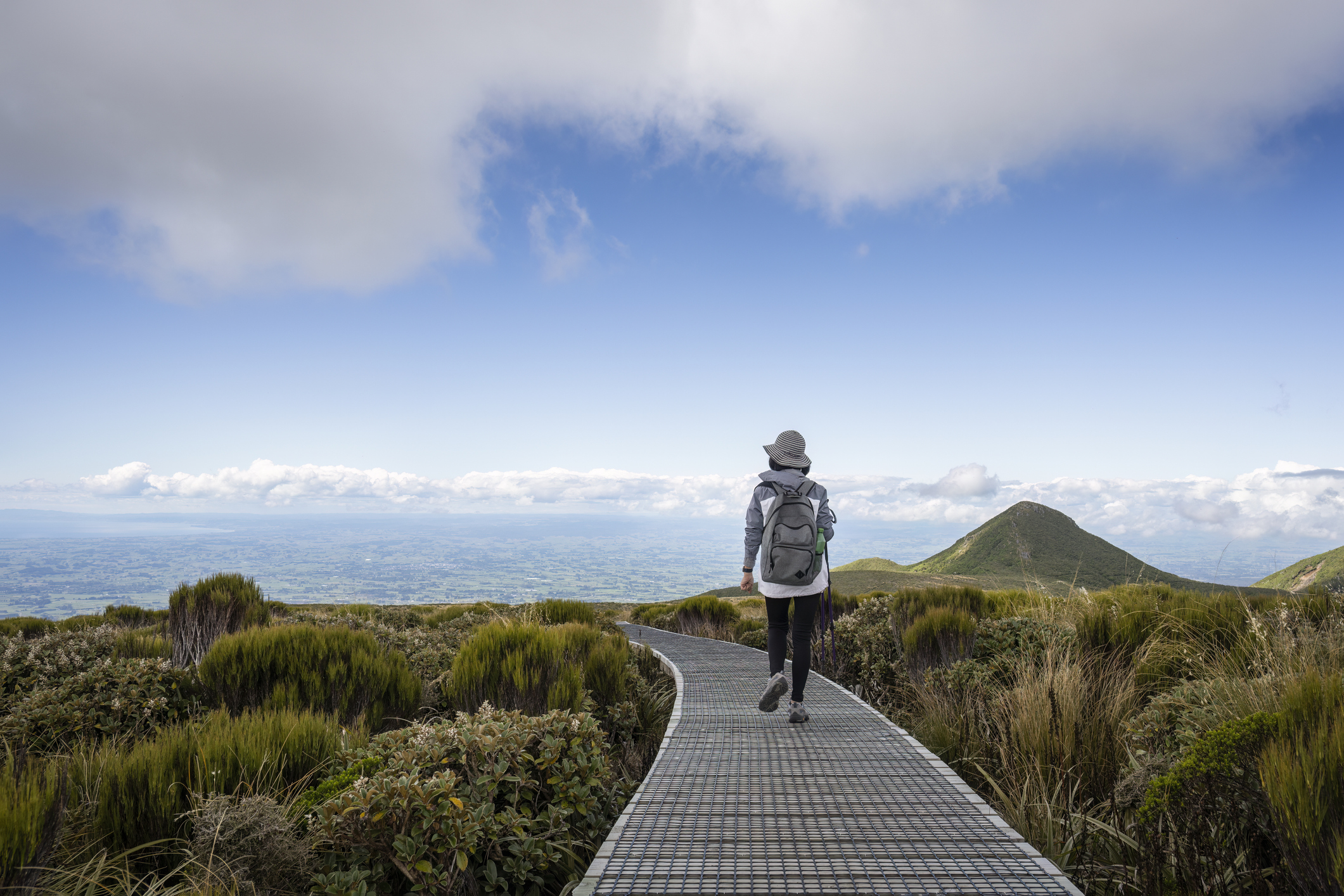 A person walks along a boardwalk through lush greenery, with mountains and a blue sky in the background.