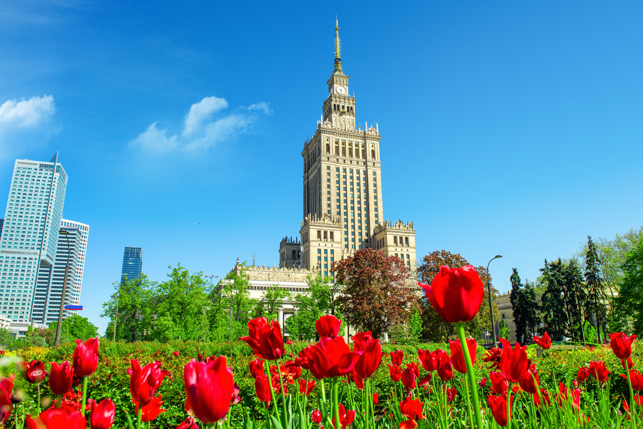 Varied red tulips in the foreground with the iconic Palace of Culture and Science in Warsaw against a blue sky.