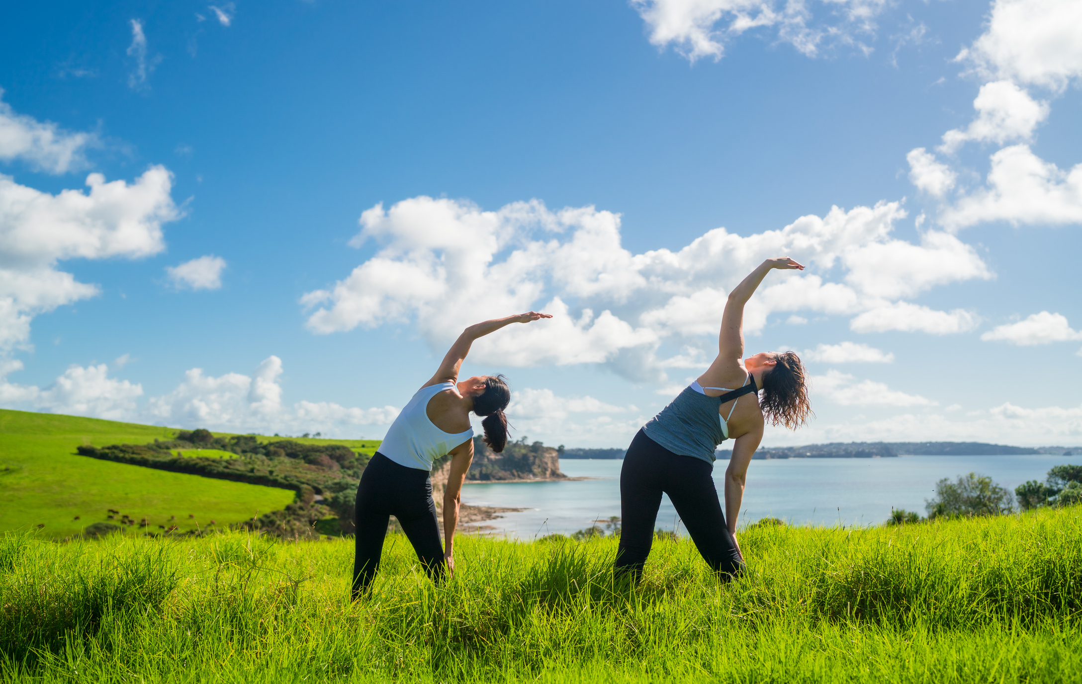 Two women stretching in a green field by a lake under a blue sky with fluffy clouds.