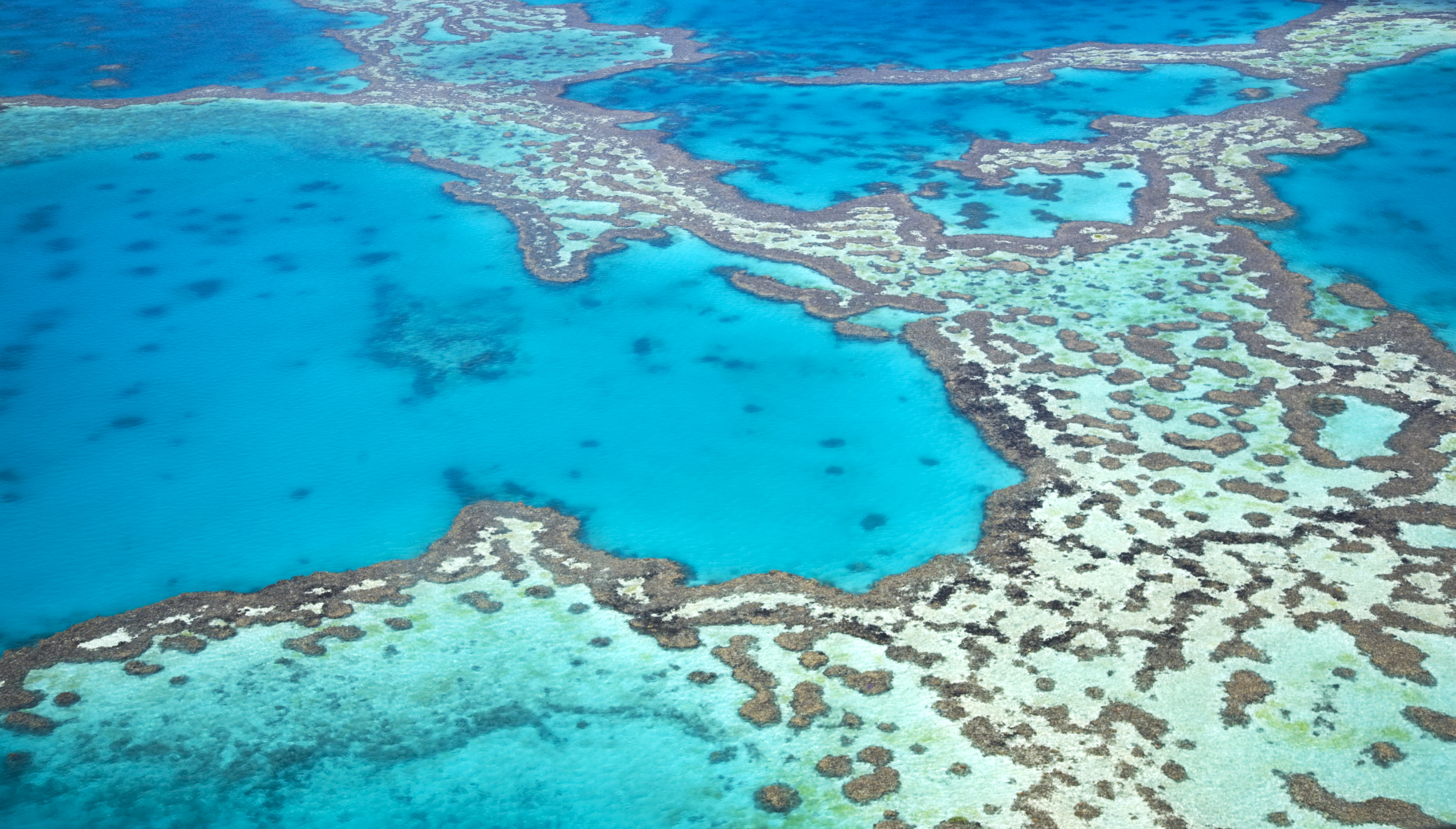 Aerial view of the Great Barrier Reef in Australia