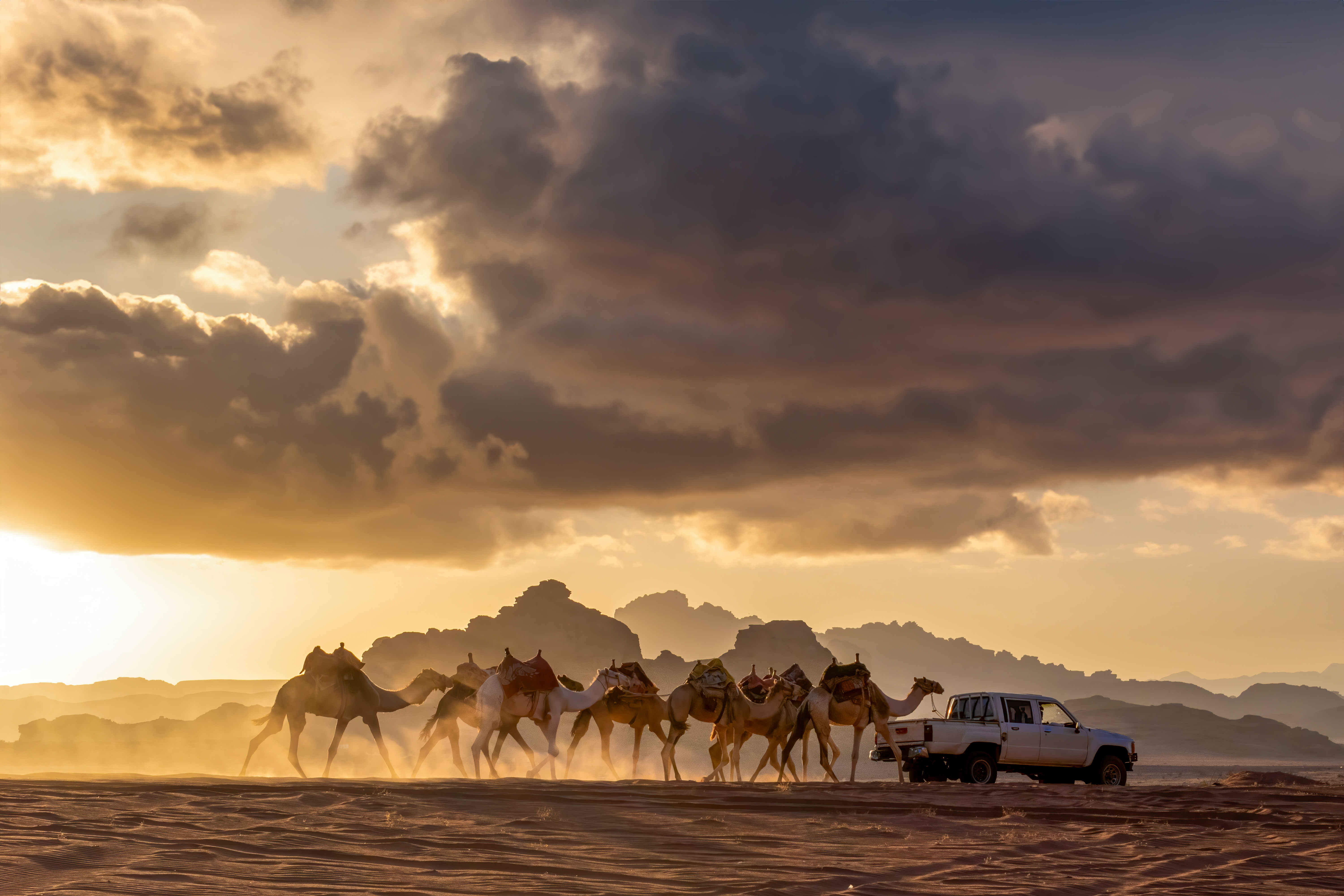 A caravan of camels walking through a desert at sunset, alongside a parked white vehicle against a backdrop of mountains.