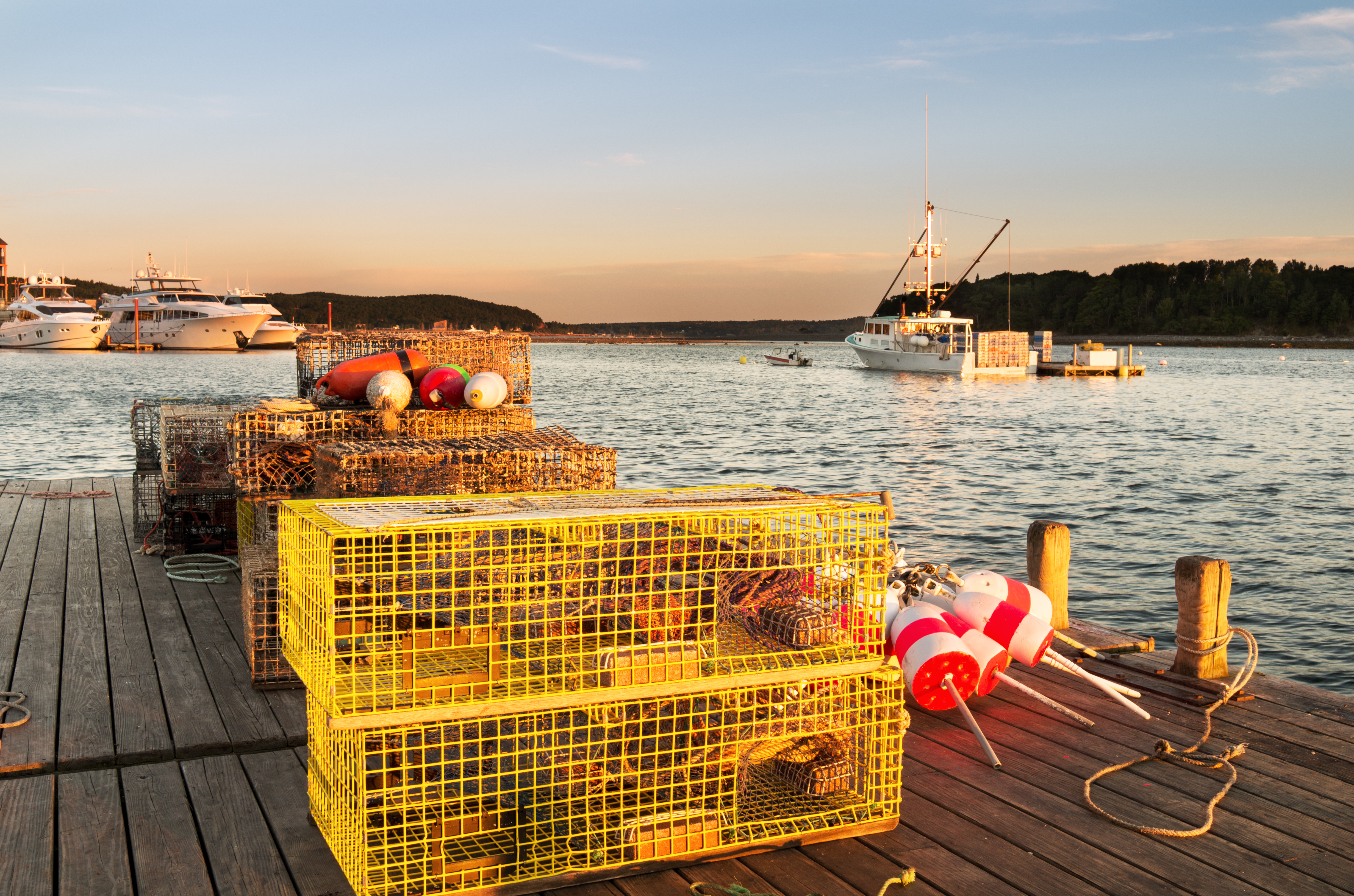 Pier in Maine Harbor with lobster traps in foreground and Lobster boats in background