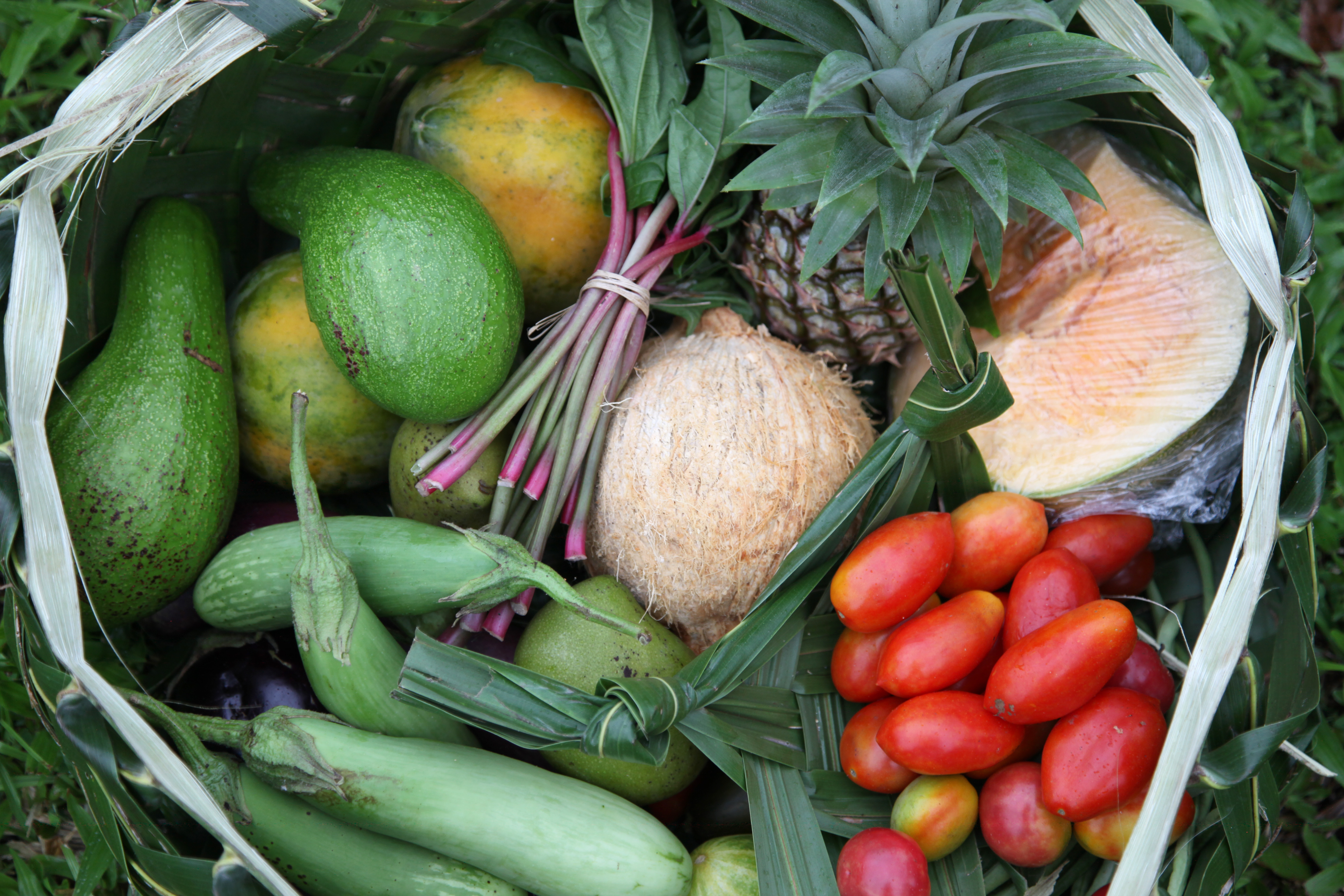 A basket of healthy and nutritious organic food grown in Samoa