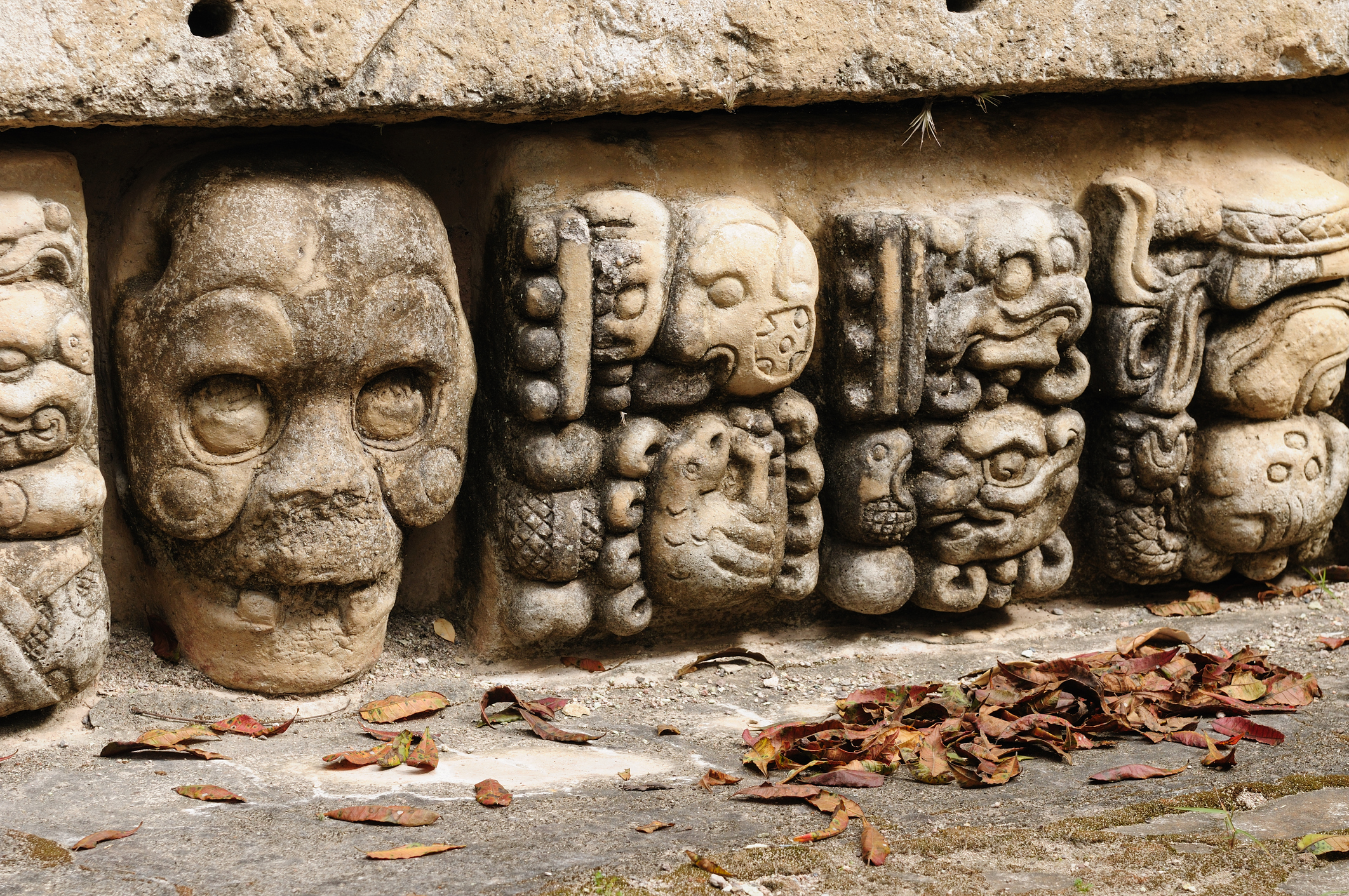 Carved stone sculptures with intricate faces and figures, partially covered by fallen leaves.