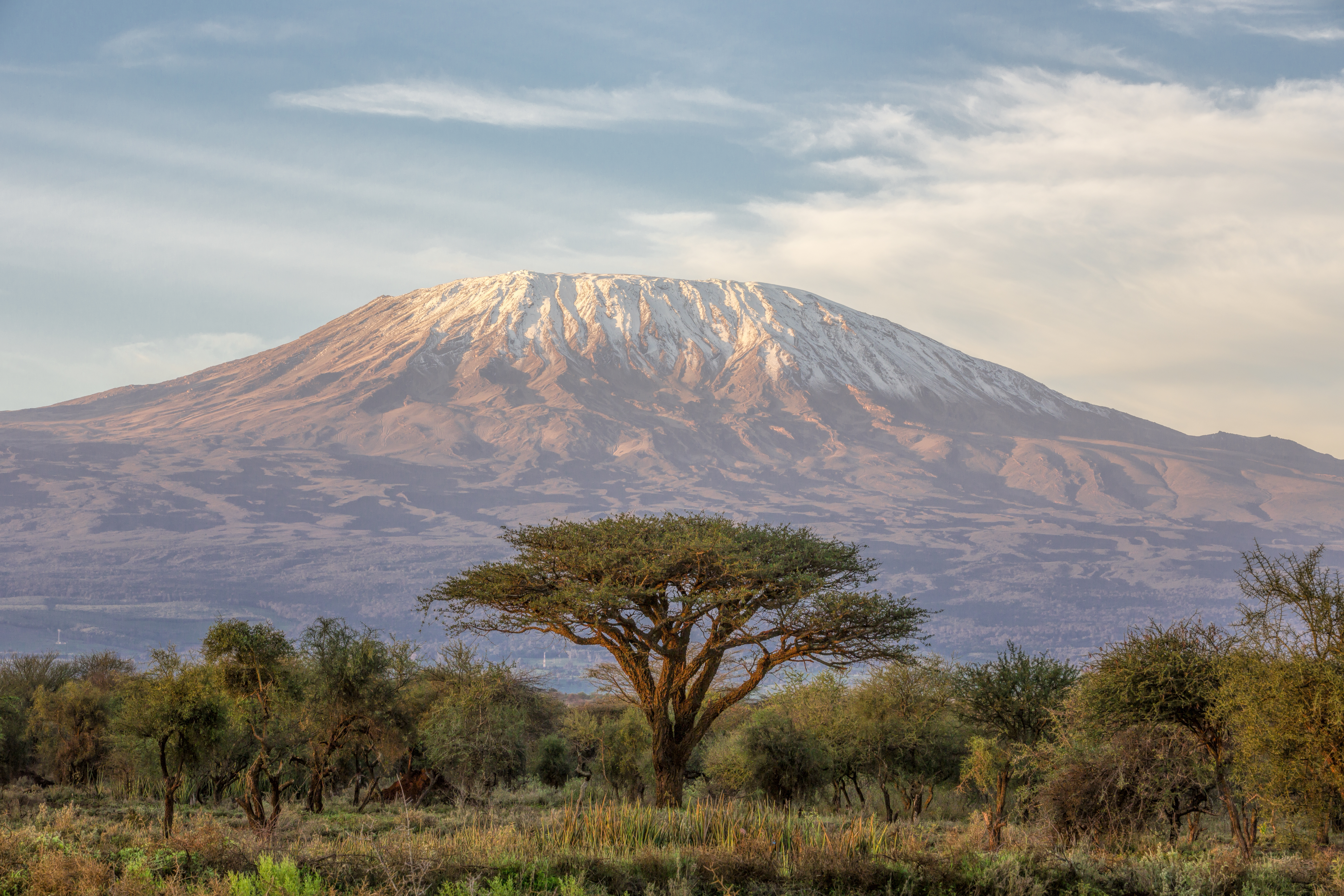 The classic view of Mt Kilimanjaro in Tanzania from the park