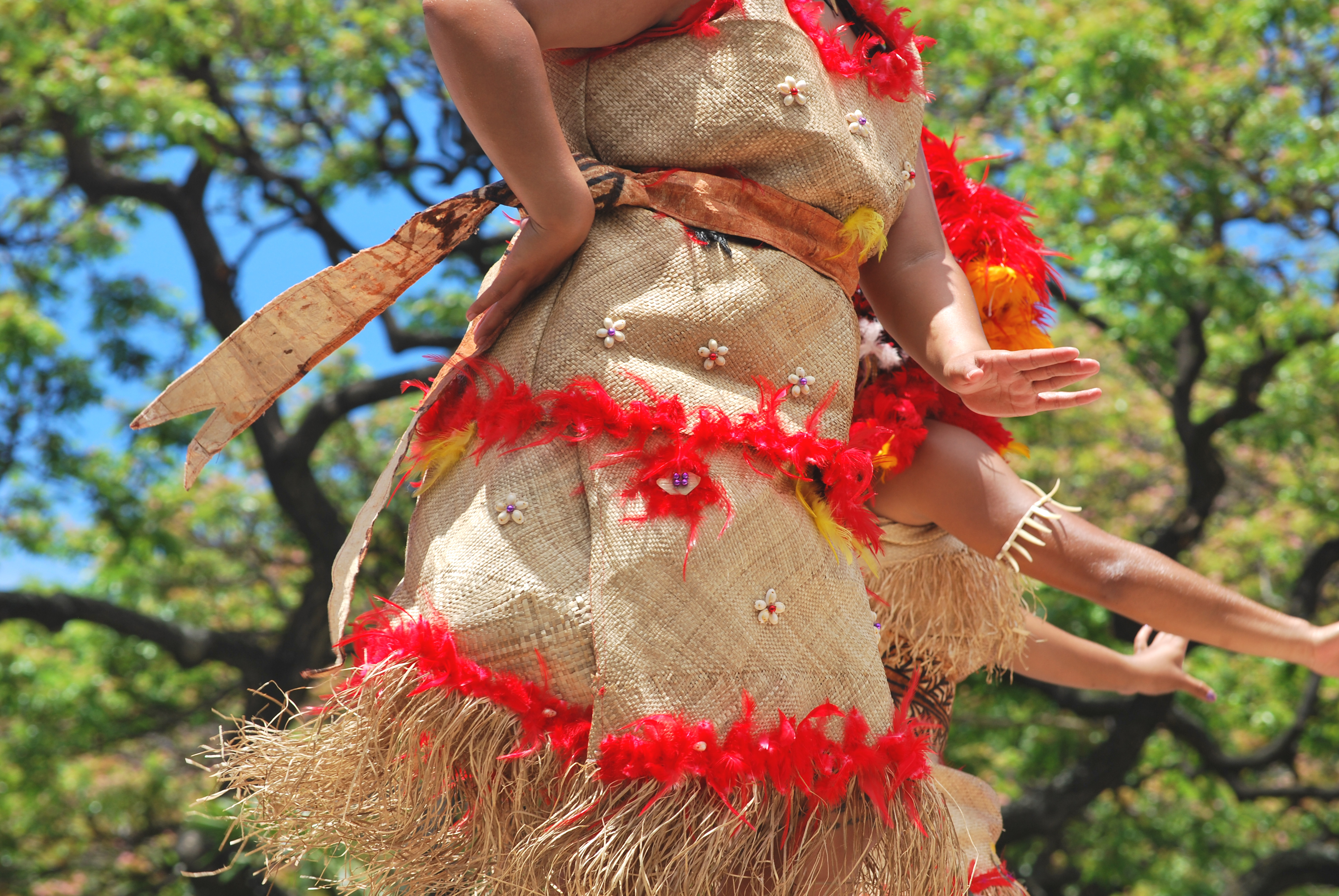 Details of a Polynesian costume