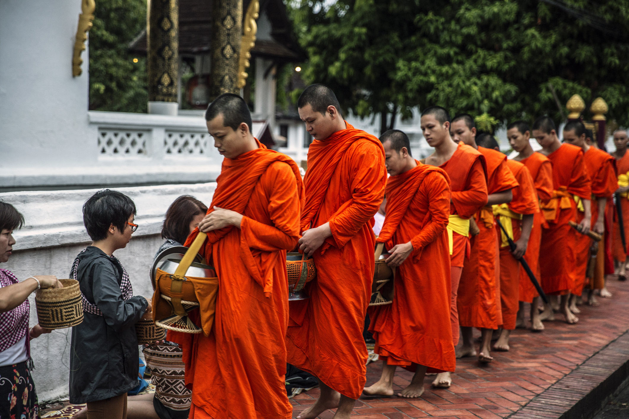 Buddhist monks in orange robes receive alms from followers in a serene outdoor setting.