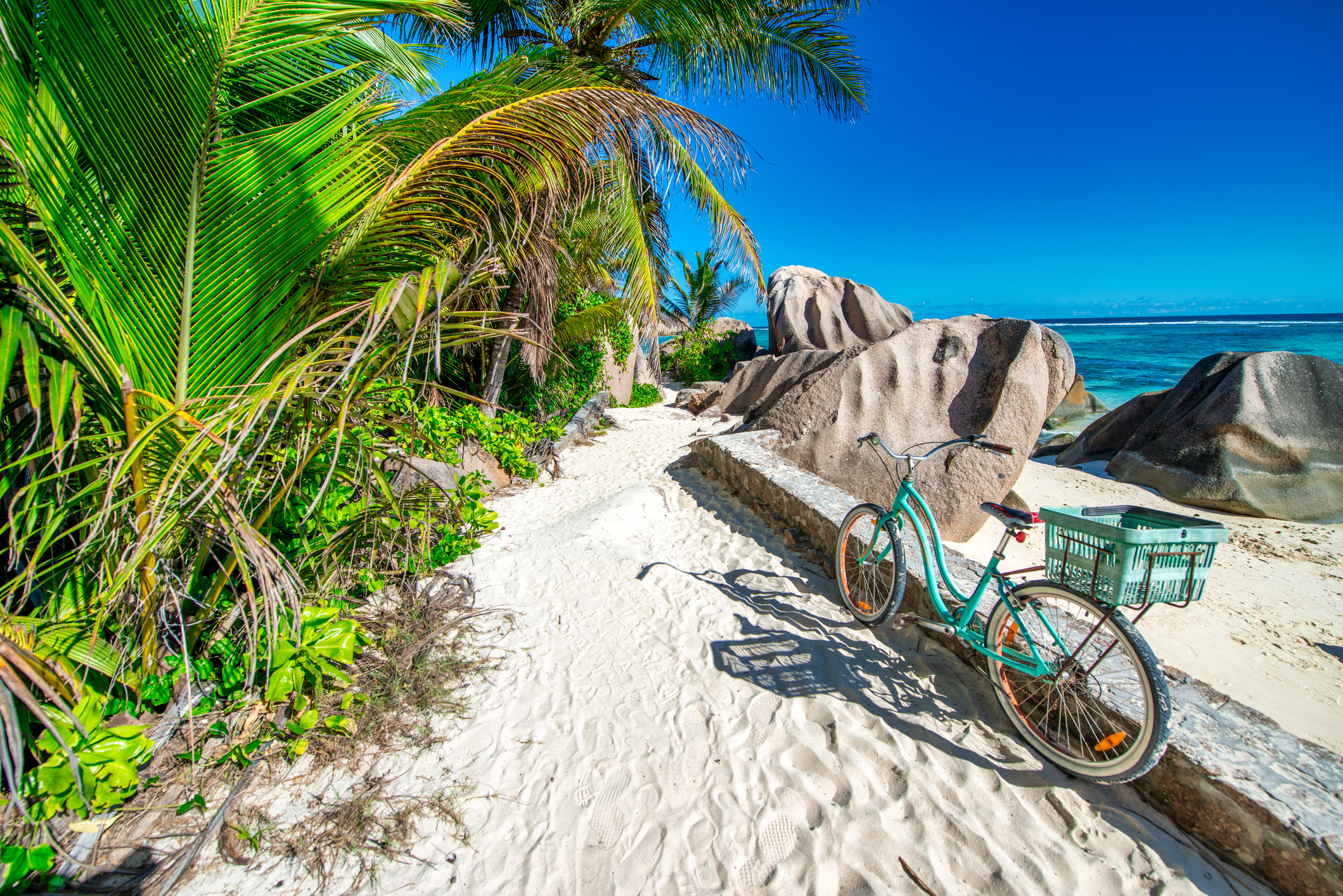 Bicycle parked on a sandy path beside lush greenery and large rocks, with a bright blue ocean in the background.