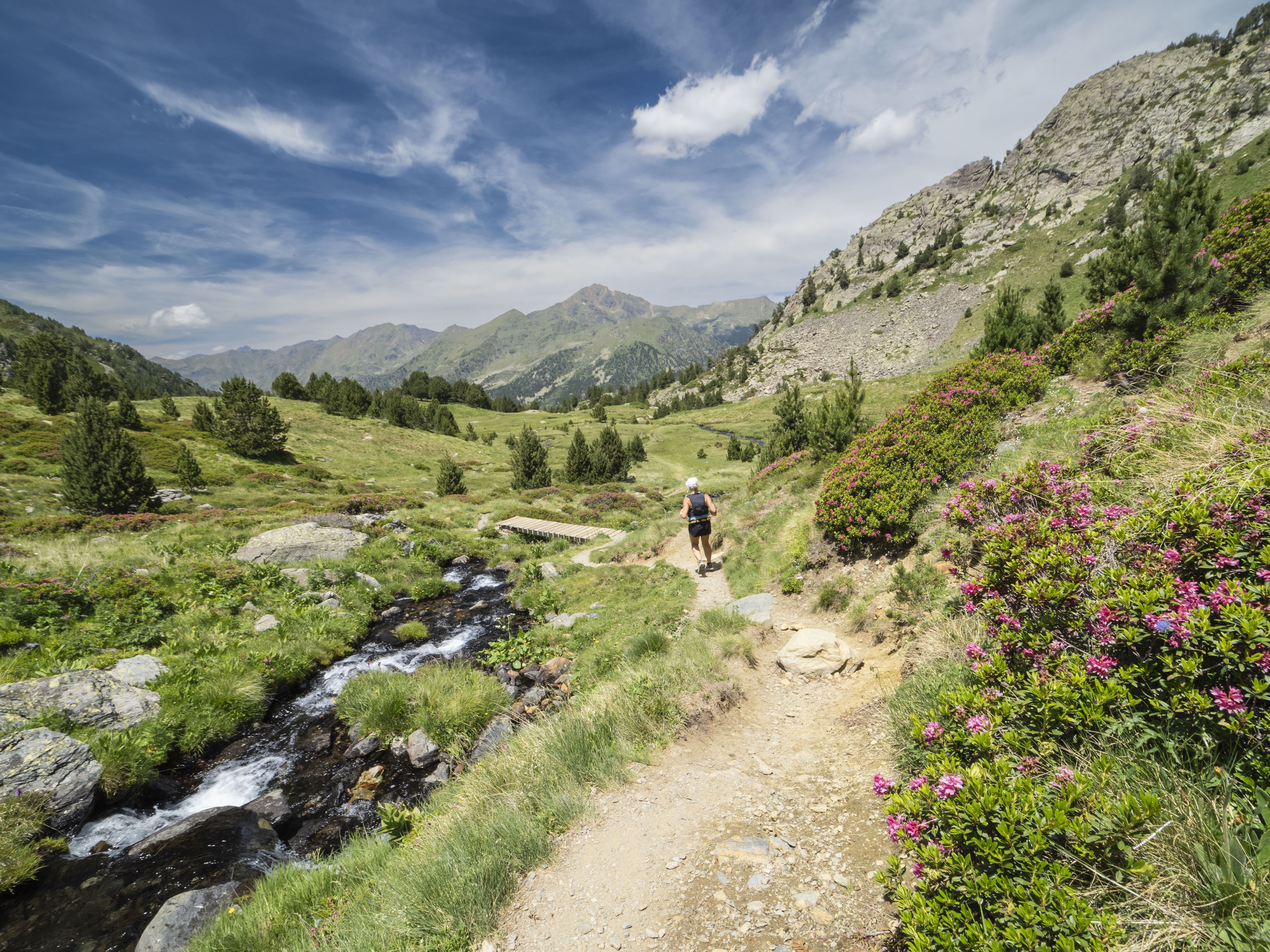 A hiker walks along a trail beside a stream, surrounded by green hills and blooming flowers under a blue sky.