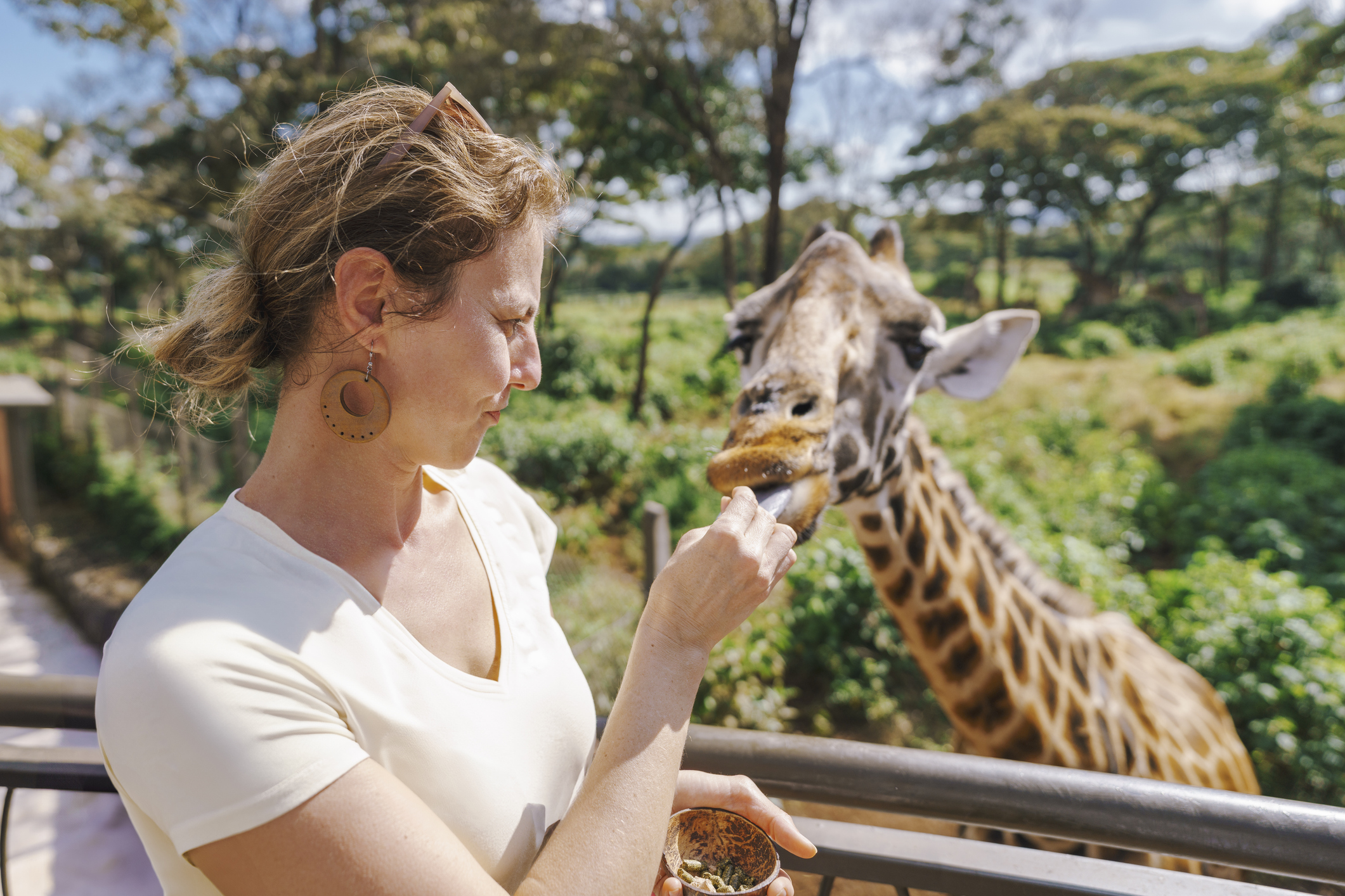 A woman feeds a giraffe from a balcony in a lush outdoor setting.