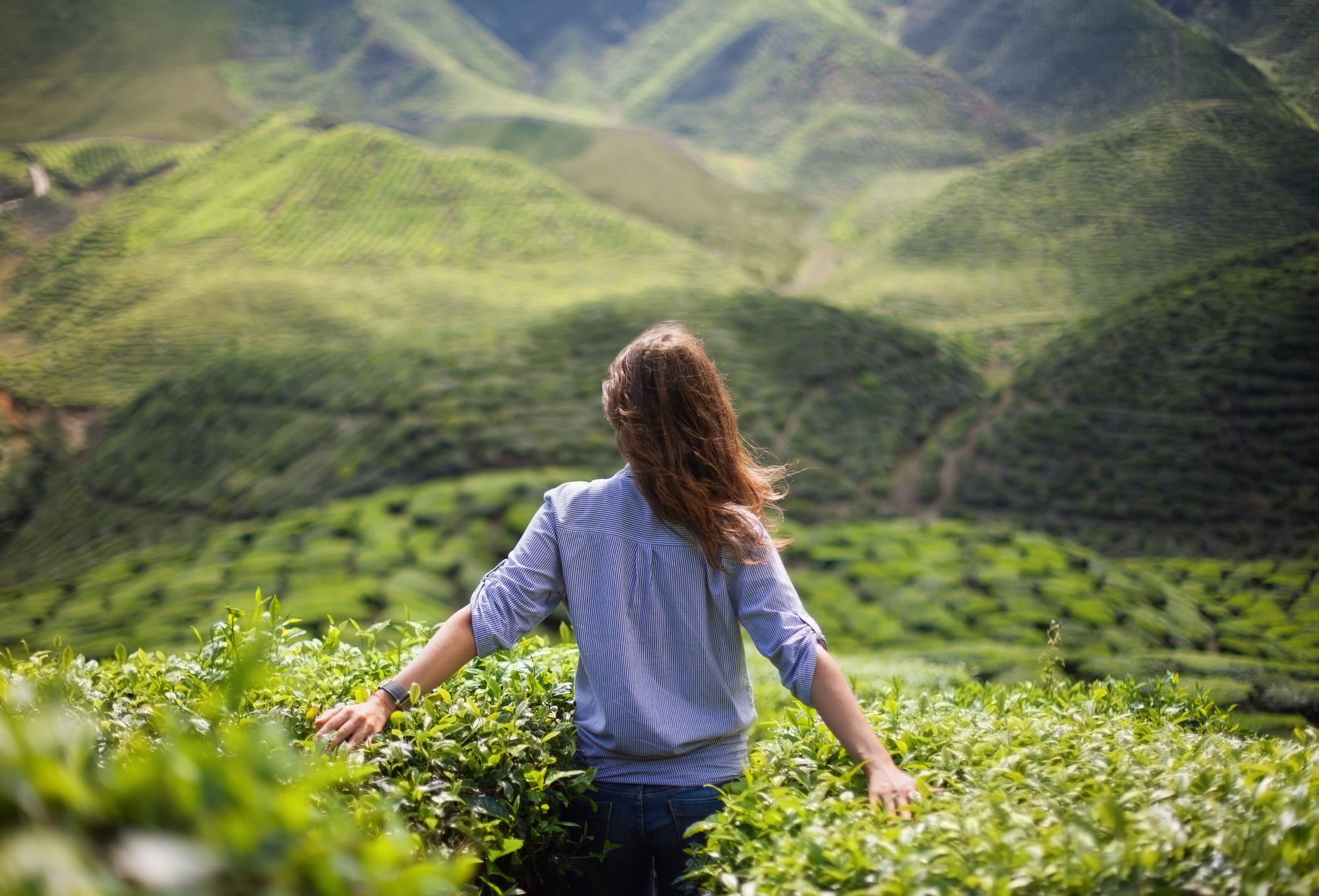 Person with long hair standing in a tea plantation, arms outstretched, facing lush green hills.