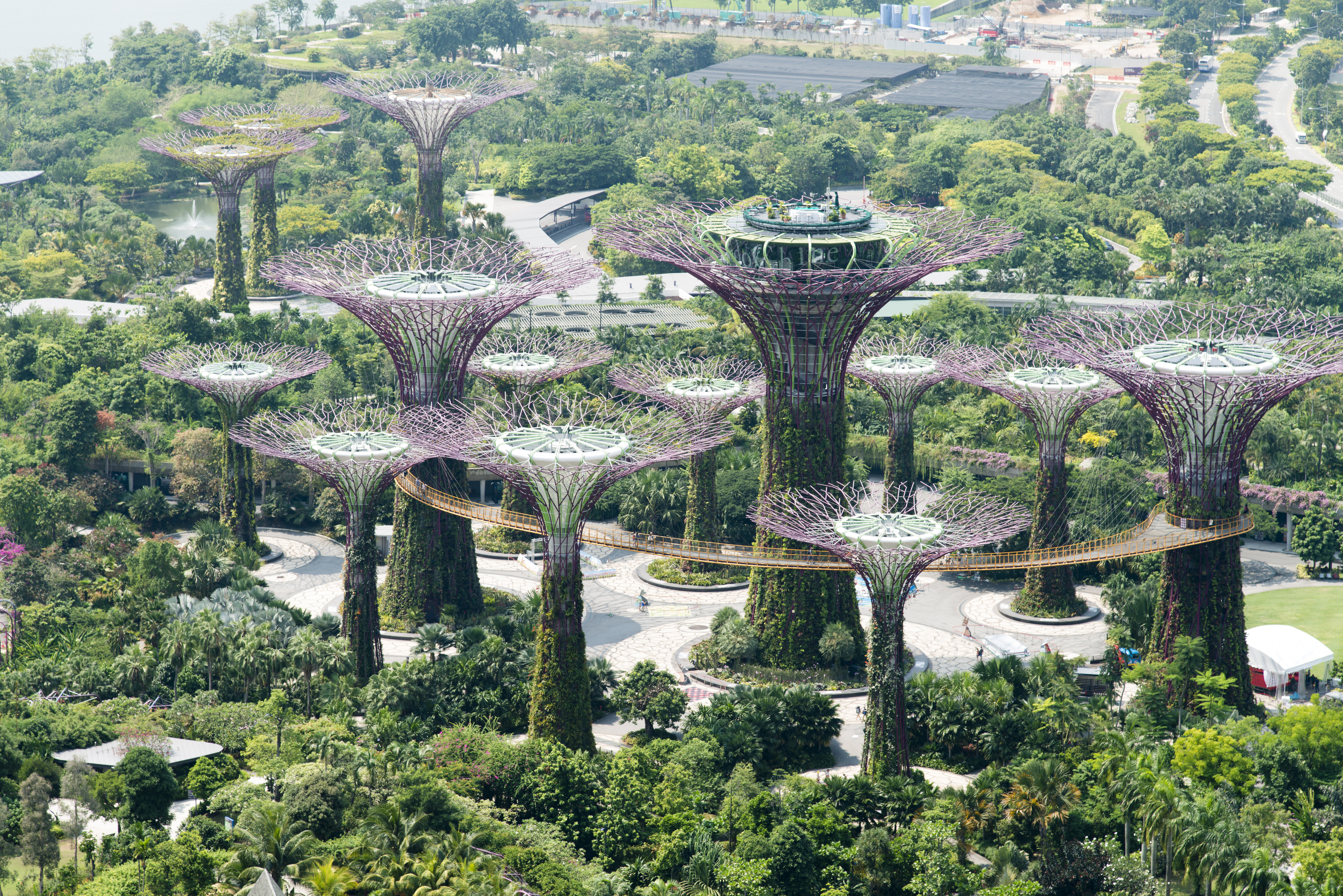 Gardens by the bay Singapore during day time