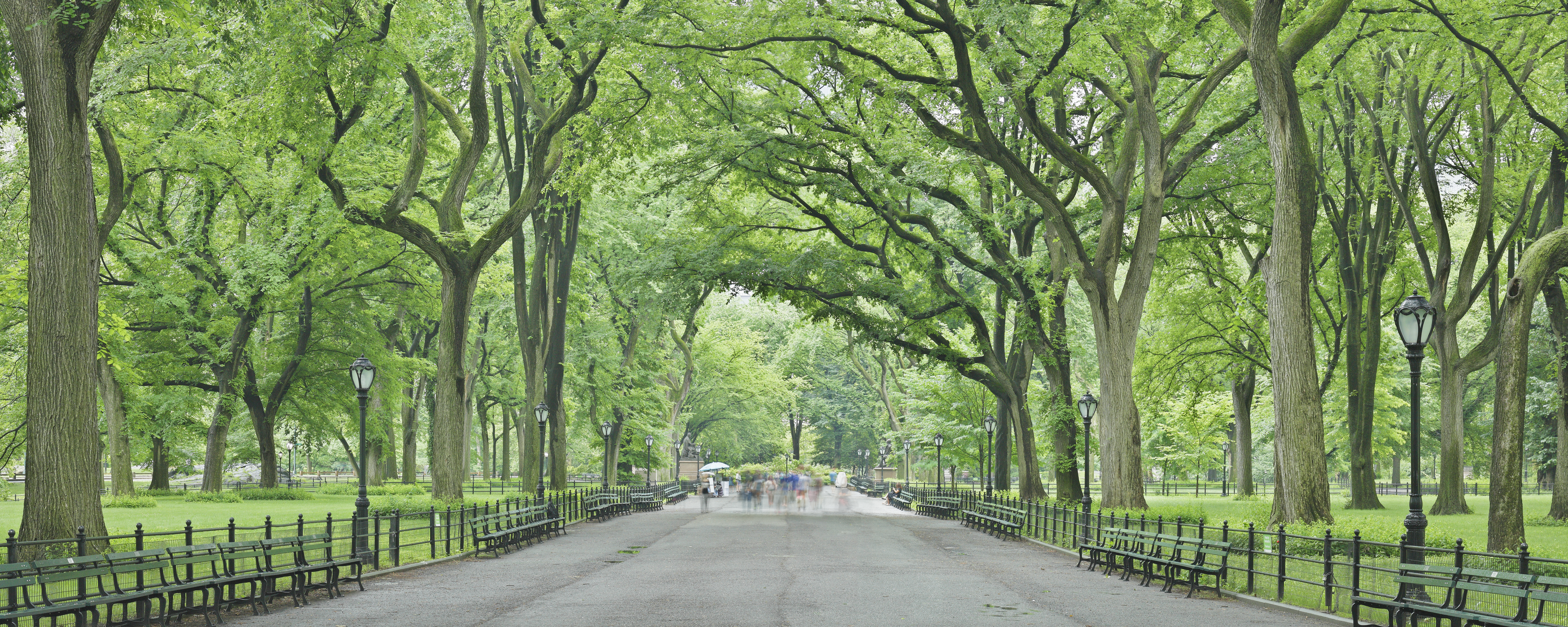 The Central Park Mall in New York City is a pedestrian pathway running through the middle of Central Park to Bethesda Terrace