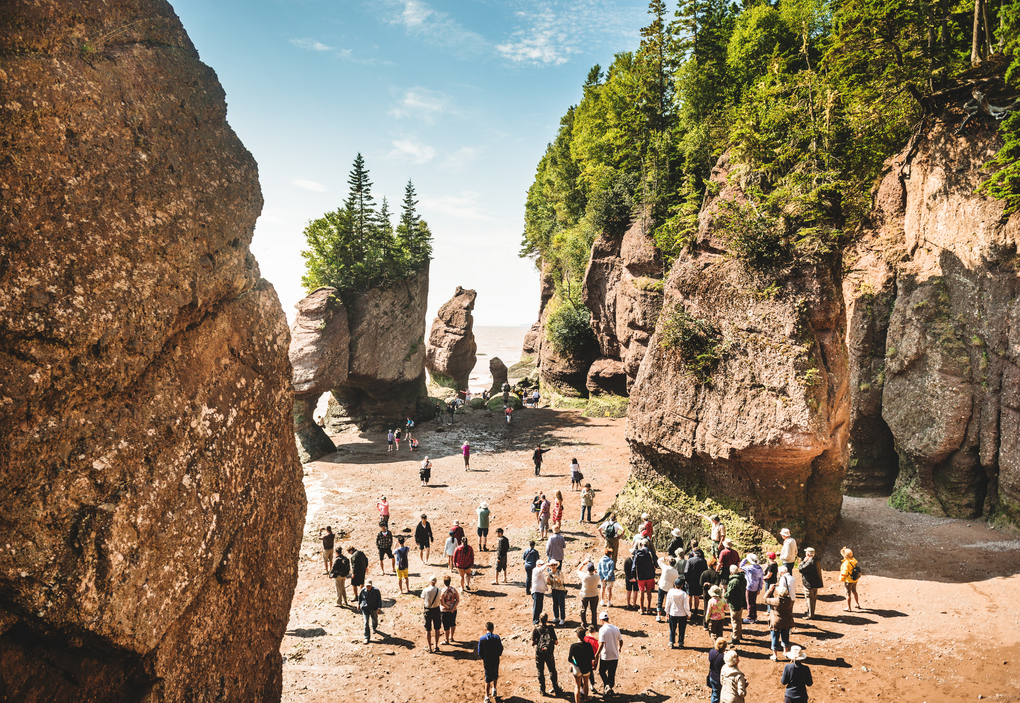 A crowd of people exploring a beach surrounded by tall rock formations and trees under a clear blue sky.