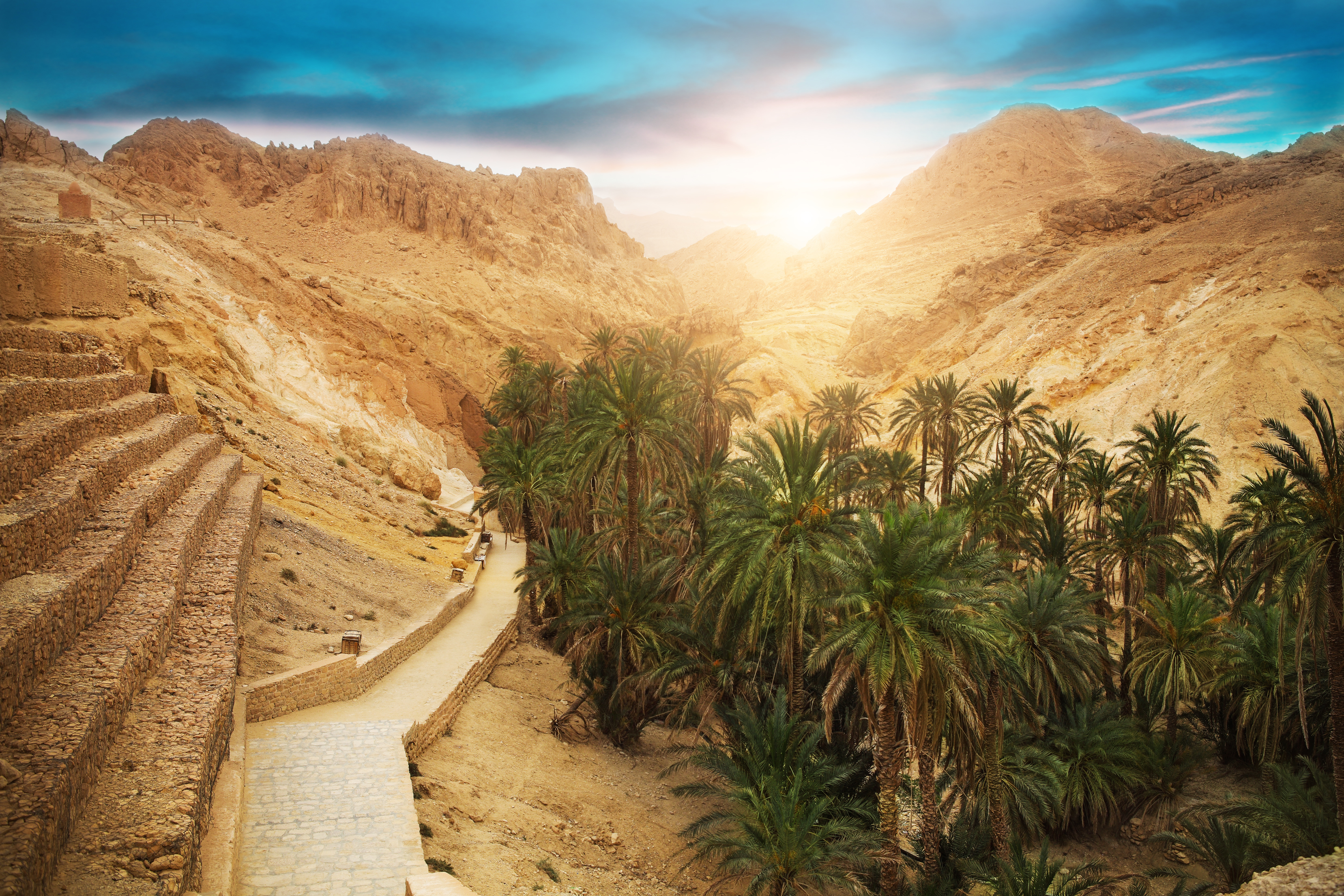 View of mountain oasis Chebika