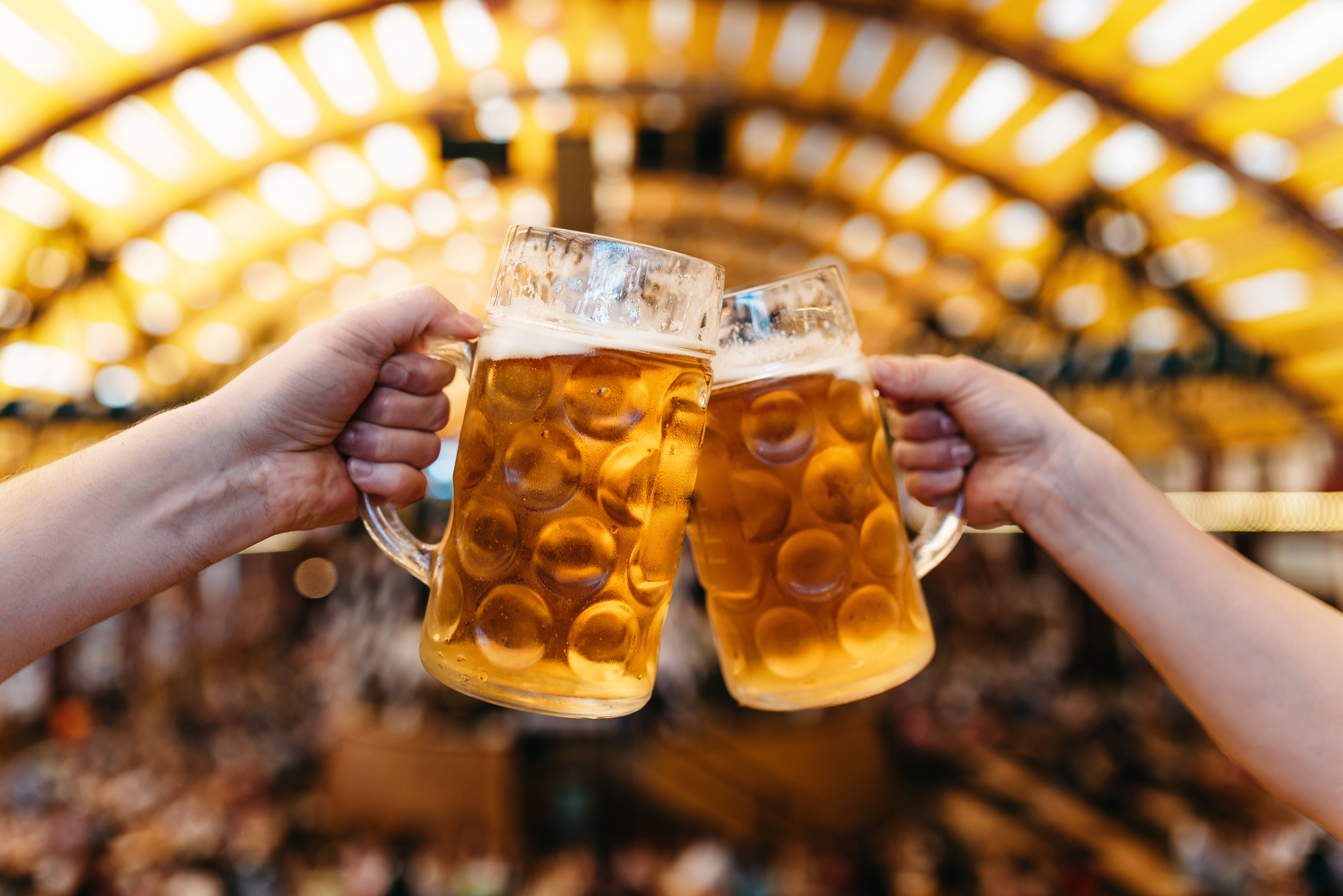 Two hands clinking beer glasses in octoberfest marquee.