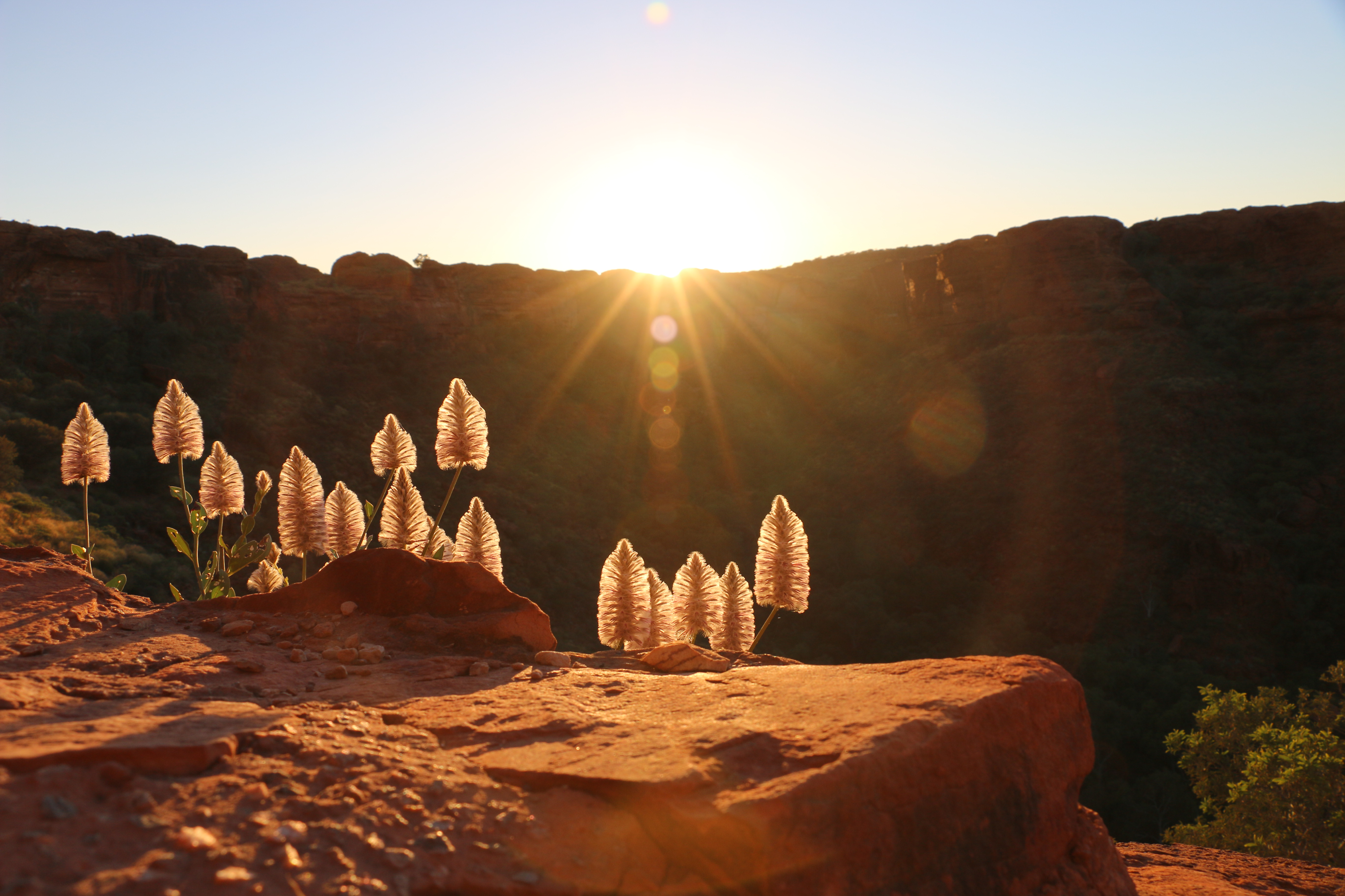 Sun Rise at King's Canyon