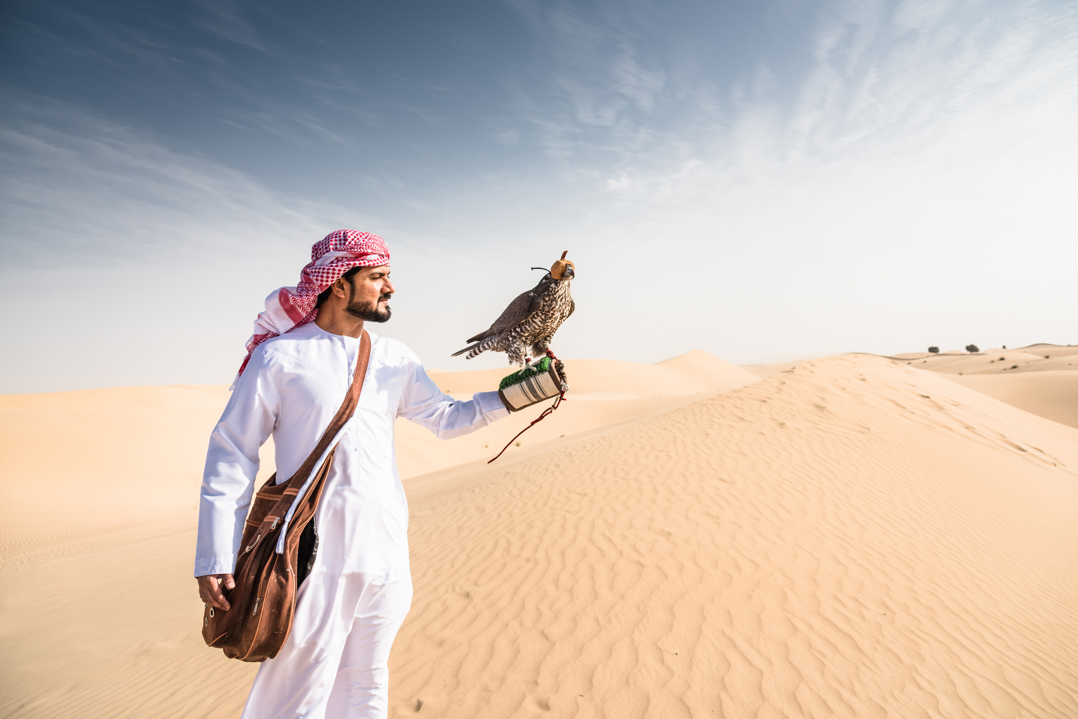 A man in traditional attire holds a falcon in the desert, with sand dunes and a clear sky in the background.