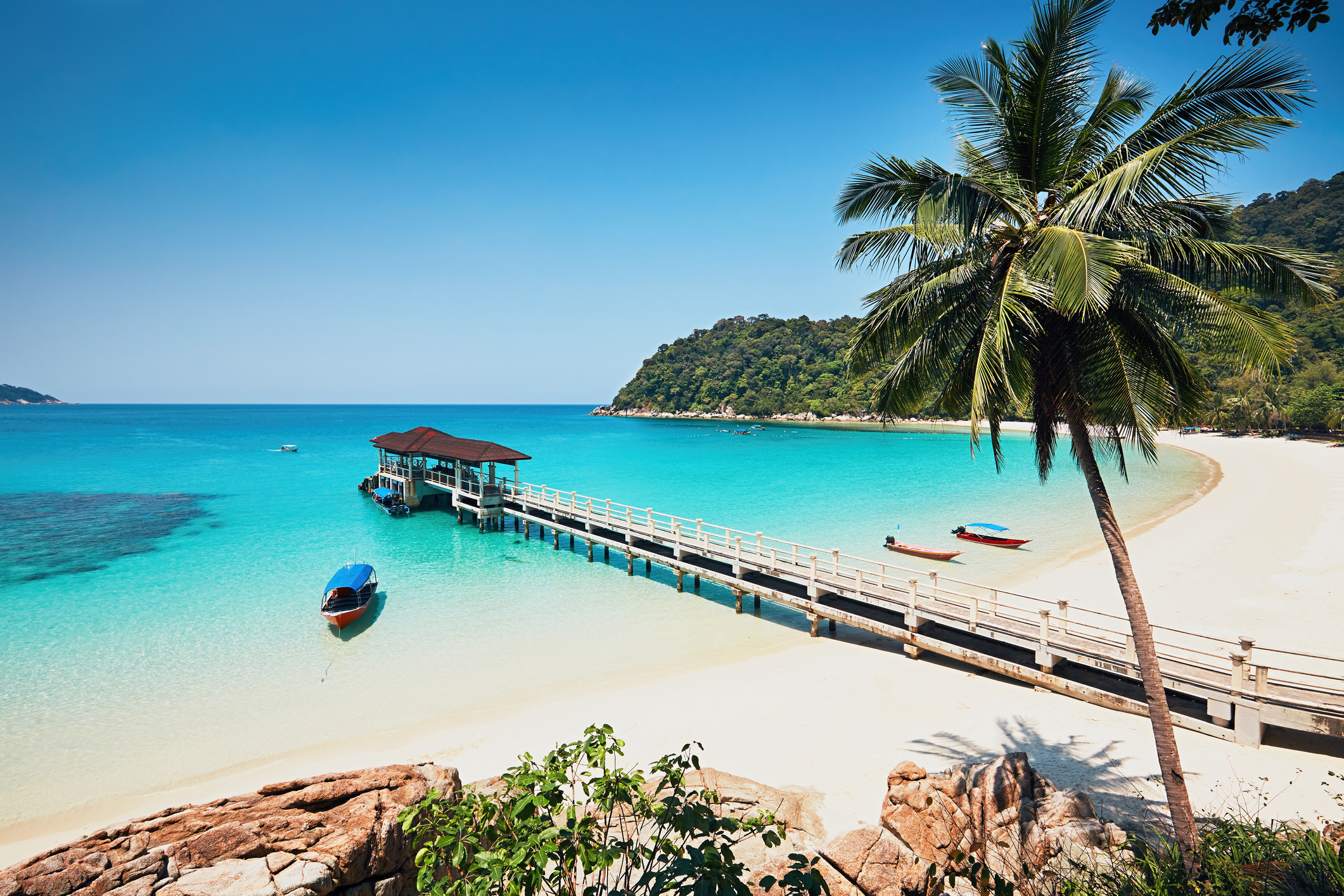 Tropical beach with clear turquoise water, a wooden pier, a palm tree, and small boats in the distance.