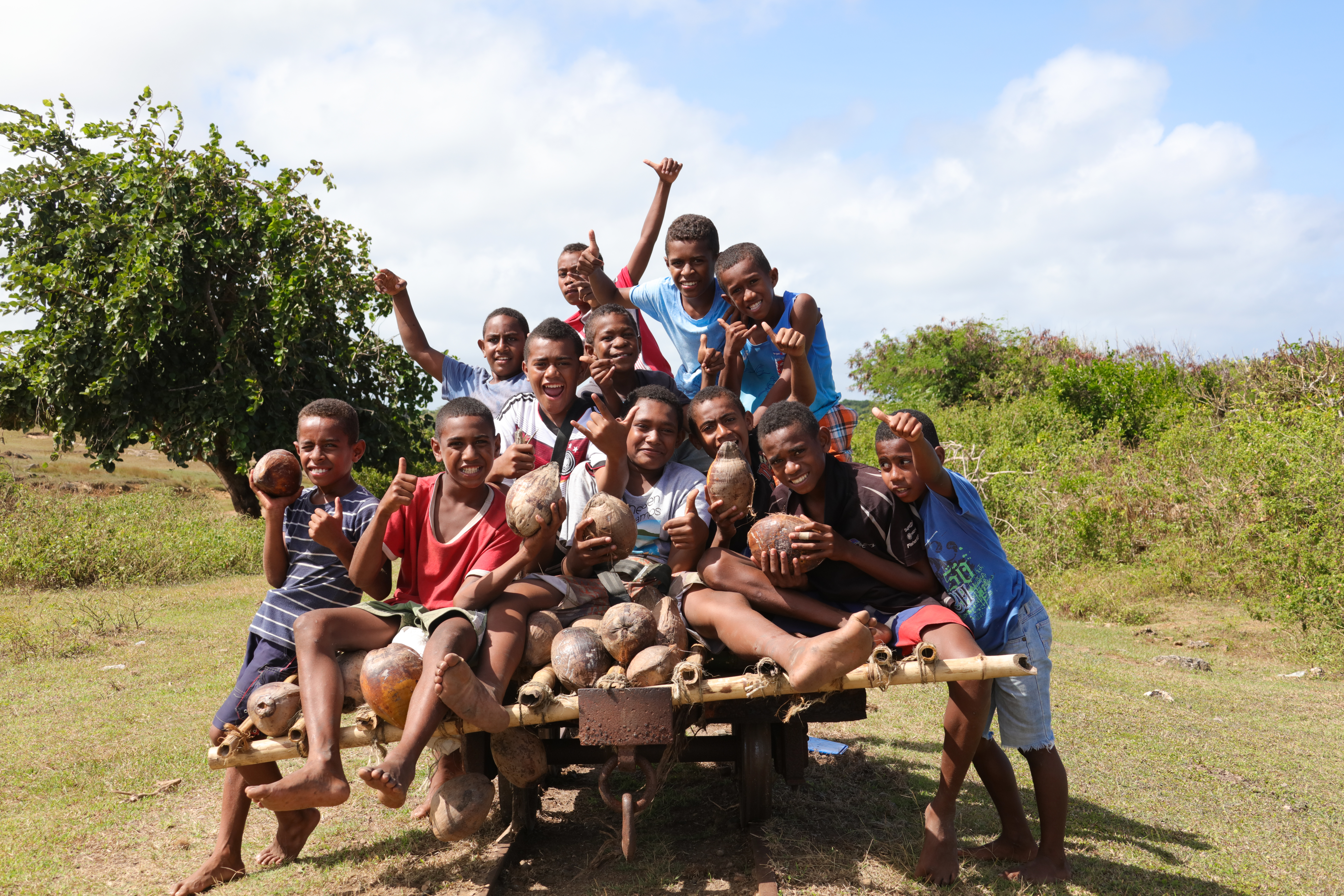 A group of joyful boys poses on a wooden cart, holding coconuts outdoors in a lush green setting.