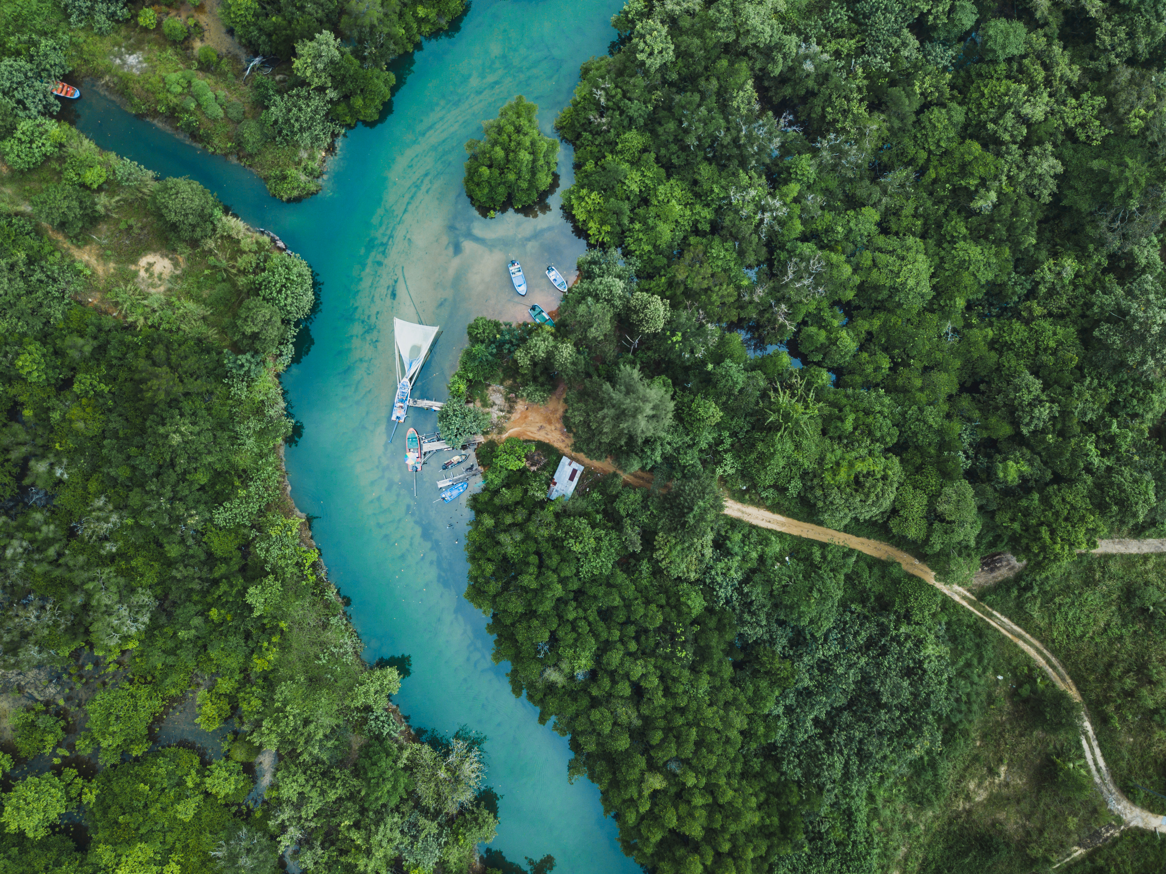 Aerial view of river in green tropical forest, beautiful nature scenery of jungle wilderness