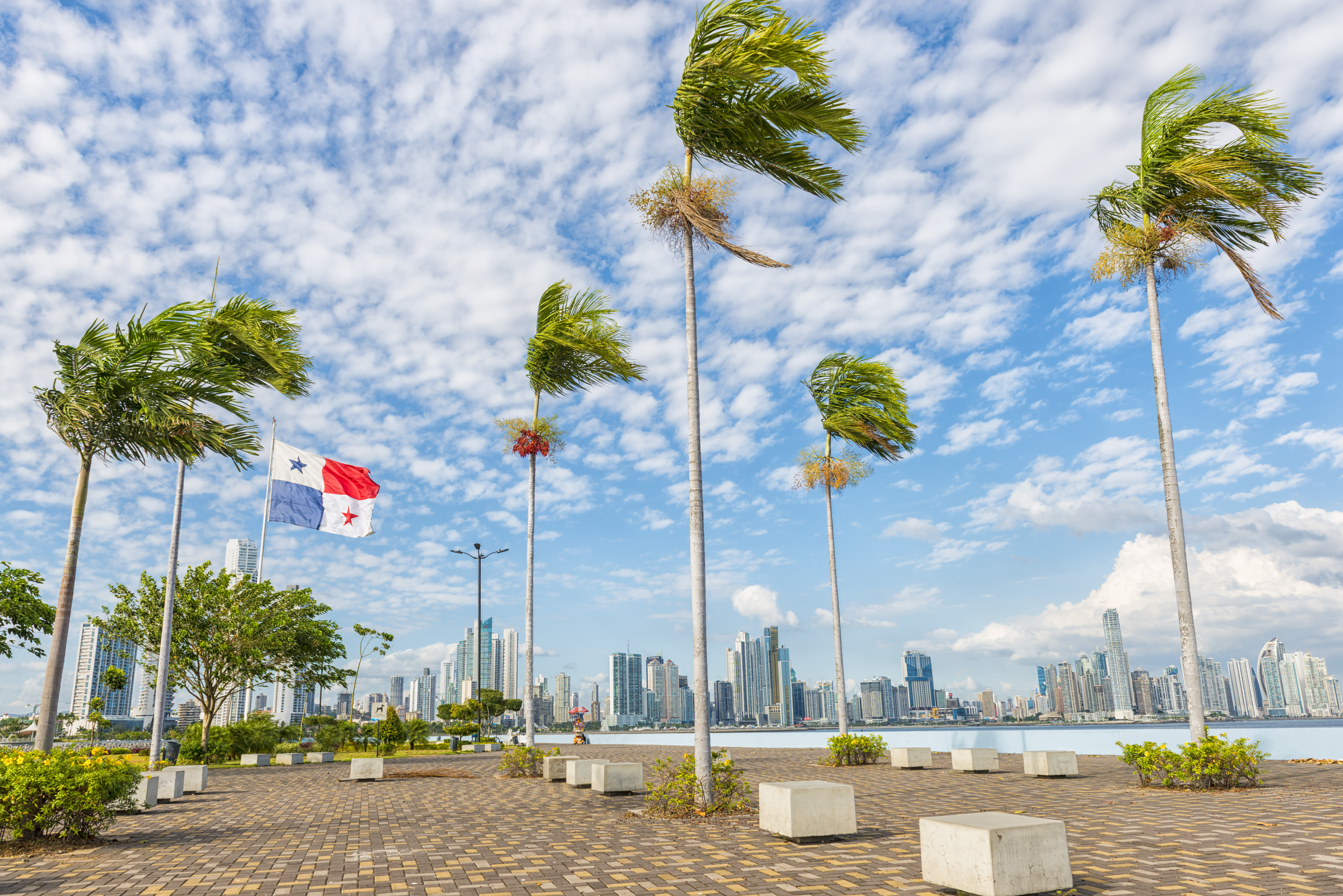 Panama city, in front palm trees and Panamian flag on plato, in background high buildings against blue sky